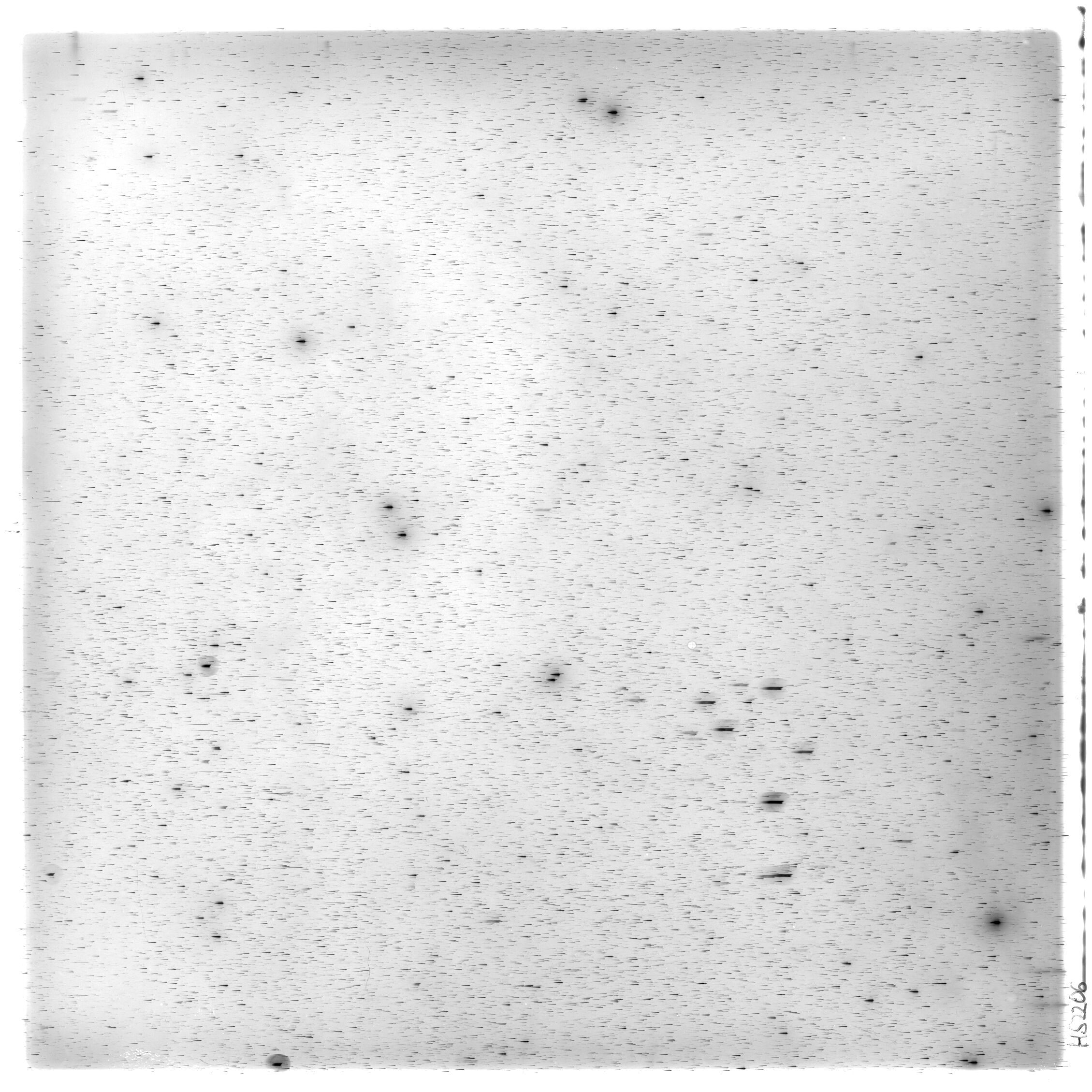 Scan HS02206