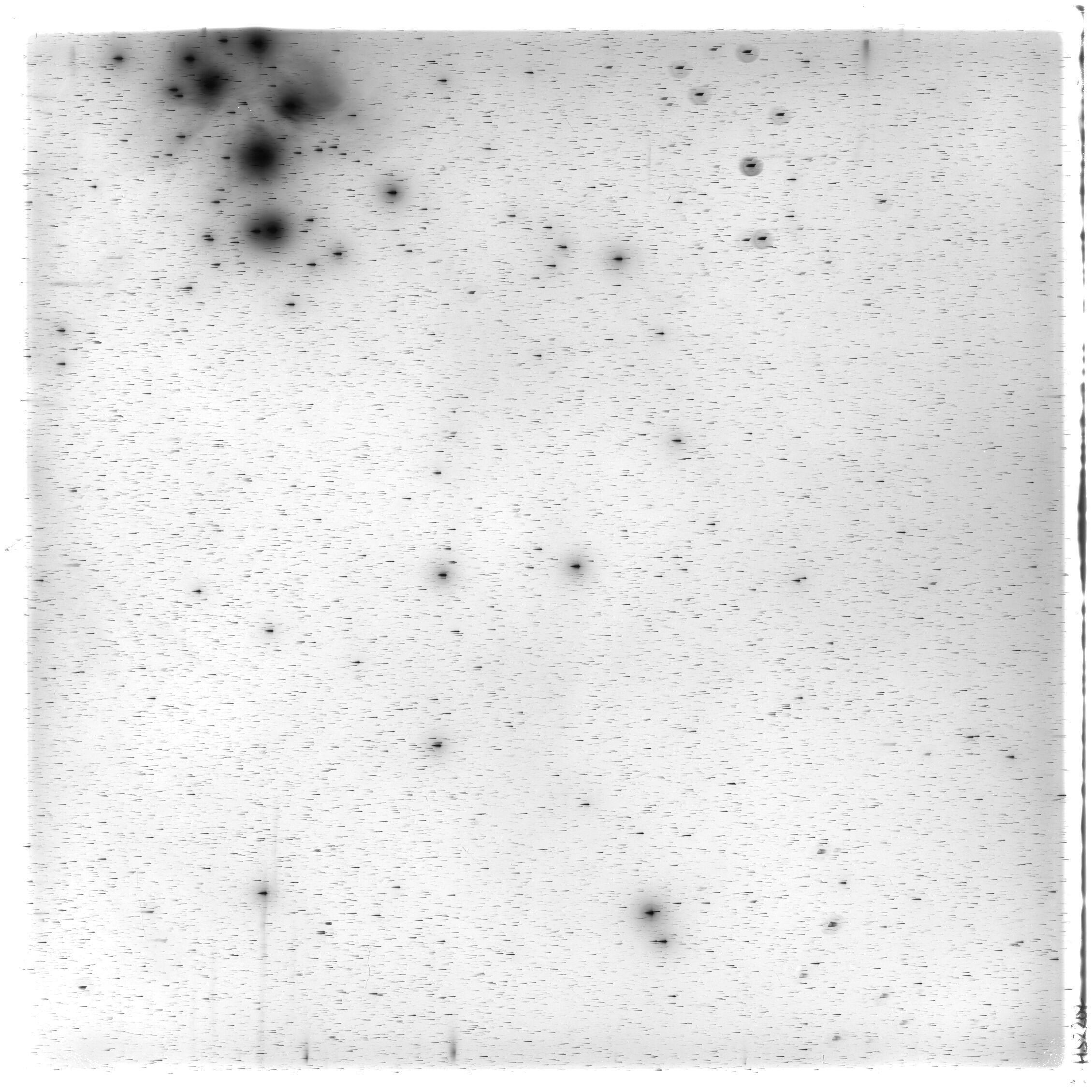 Scan HS02207