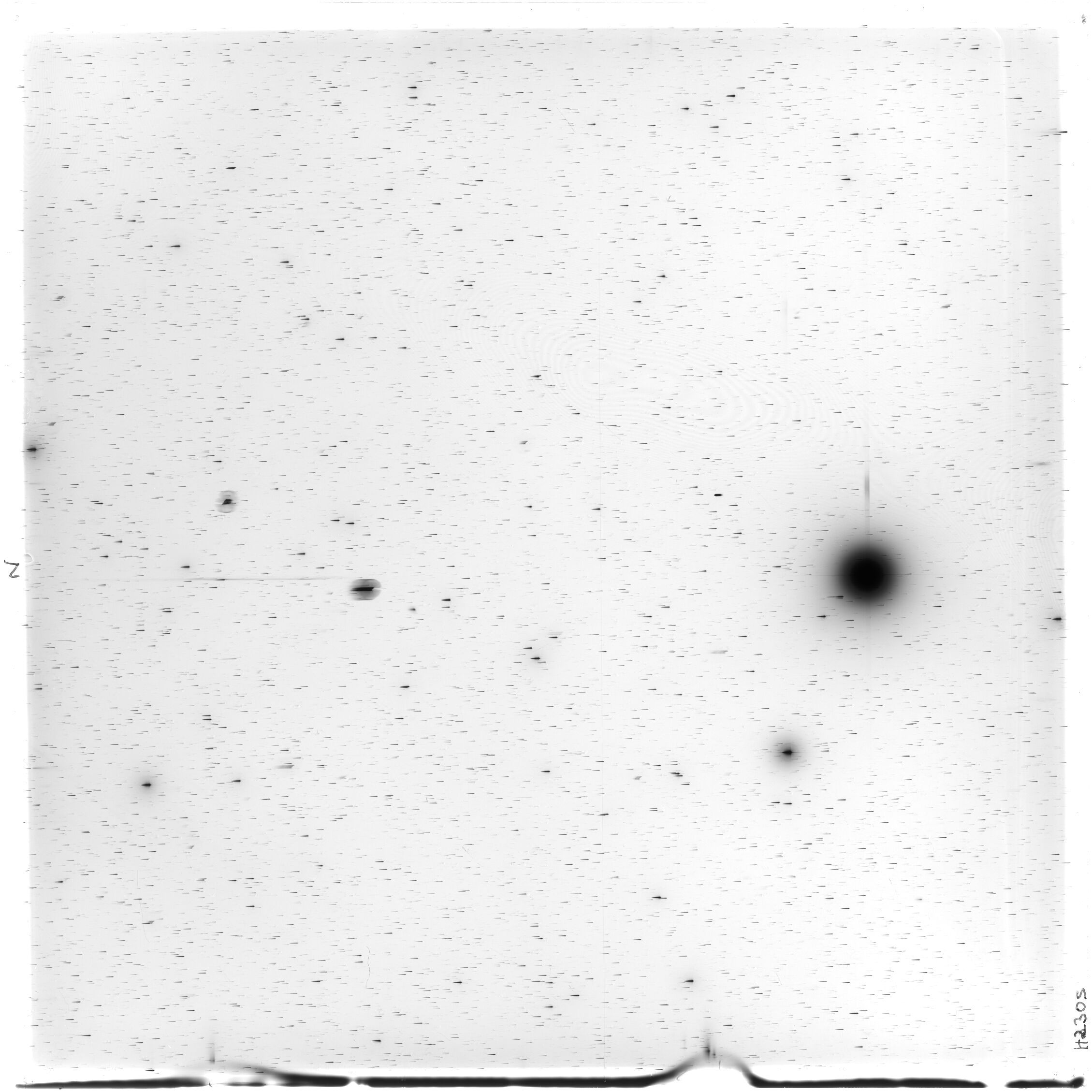 Scan HS02305