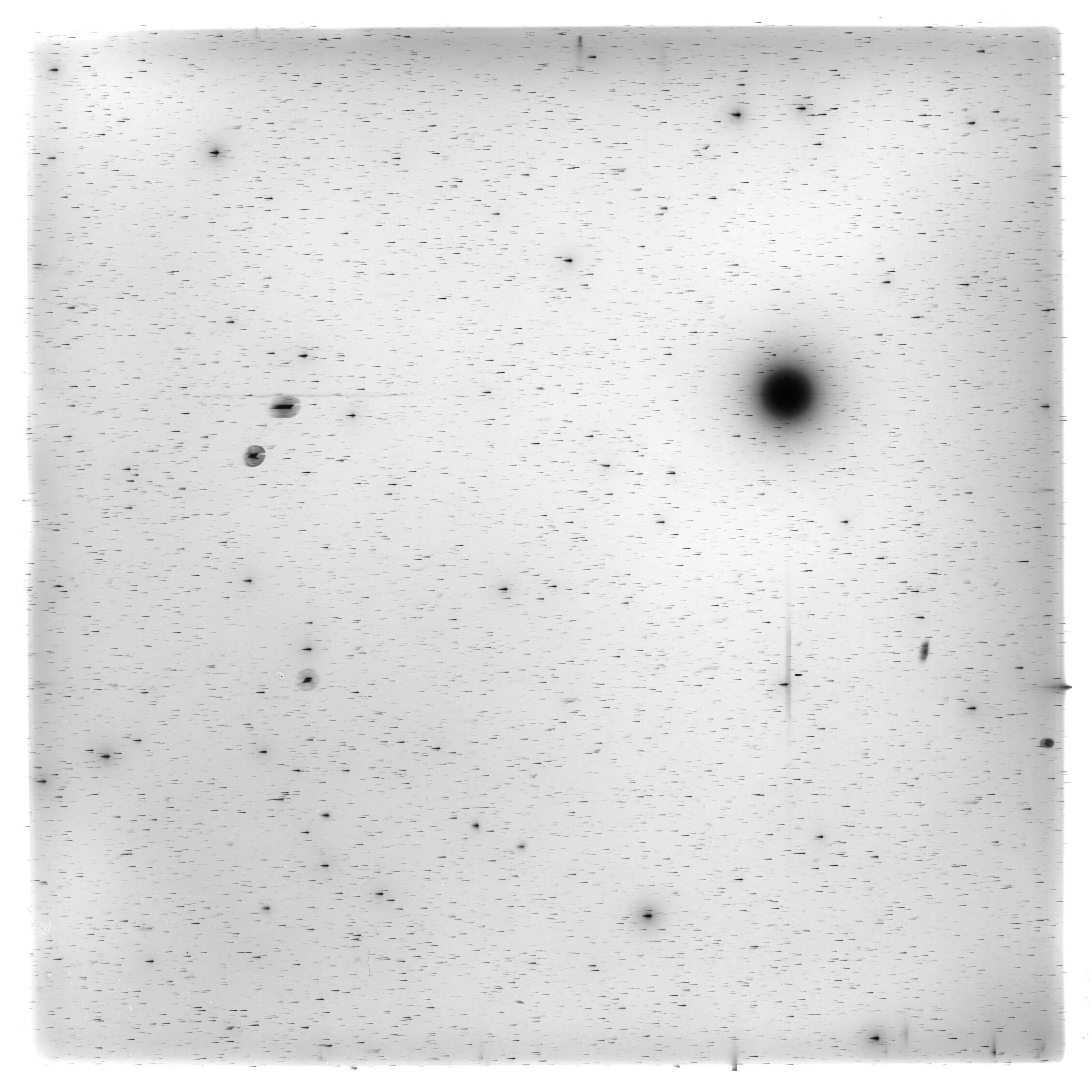 Scan HS02311