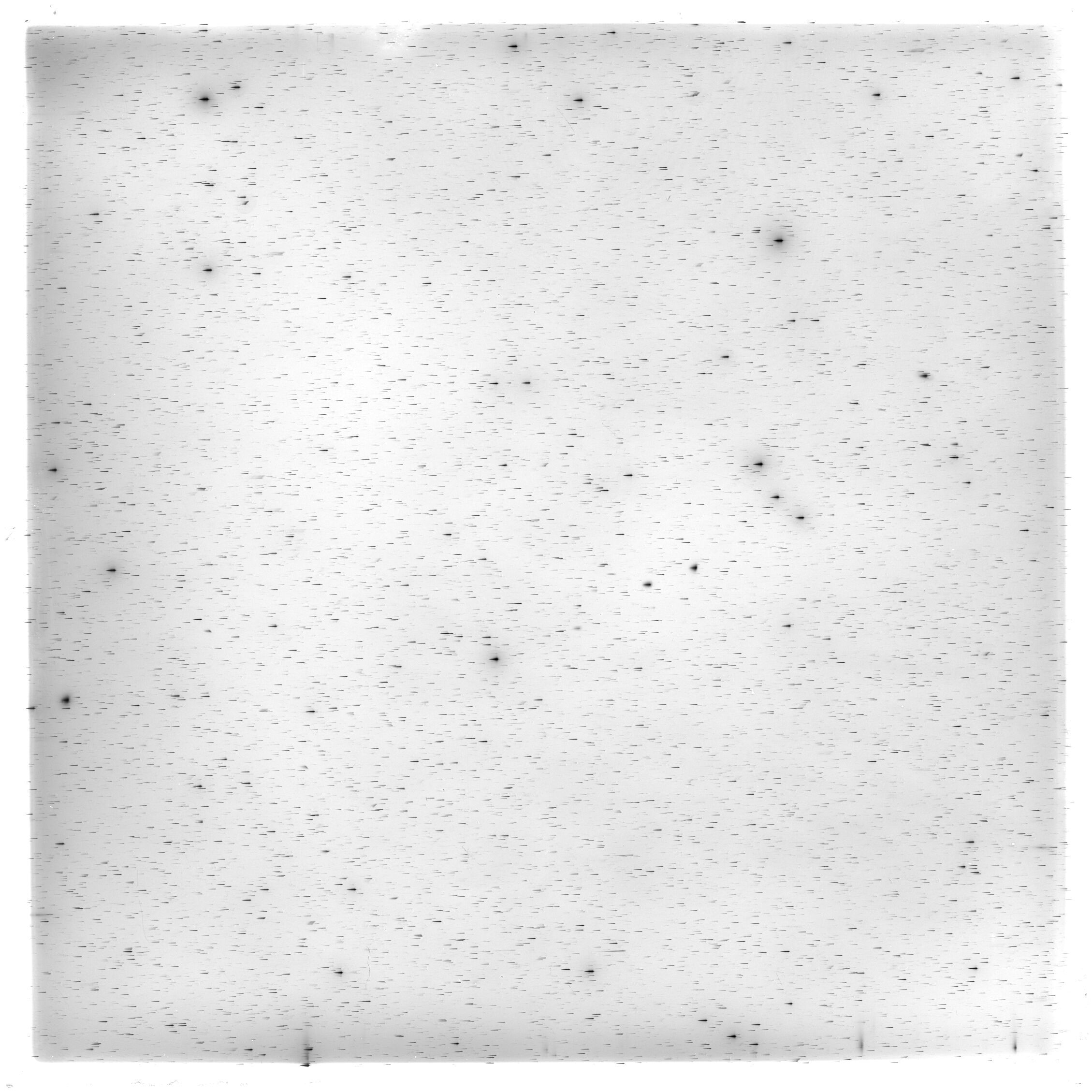 Scan HS02312