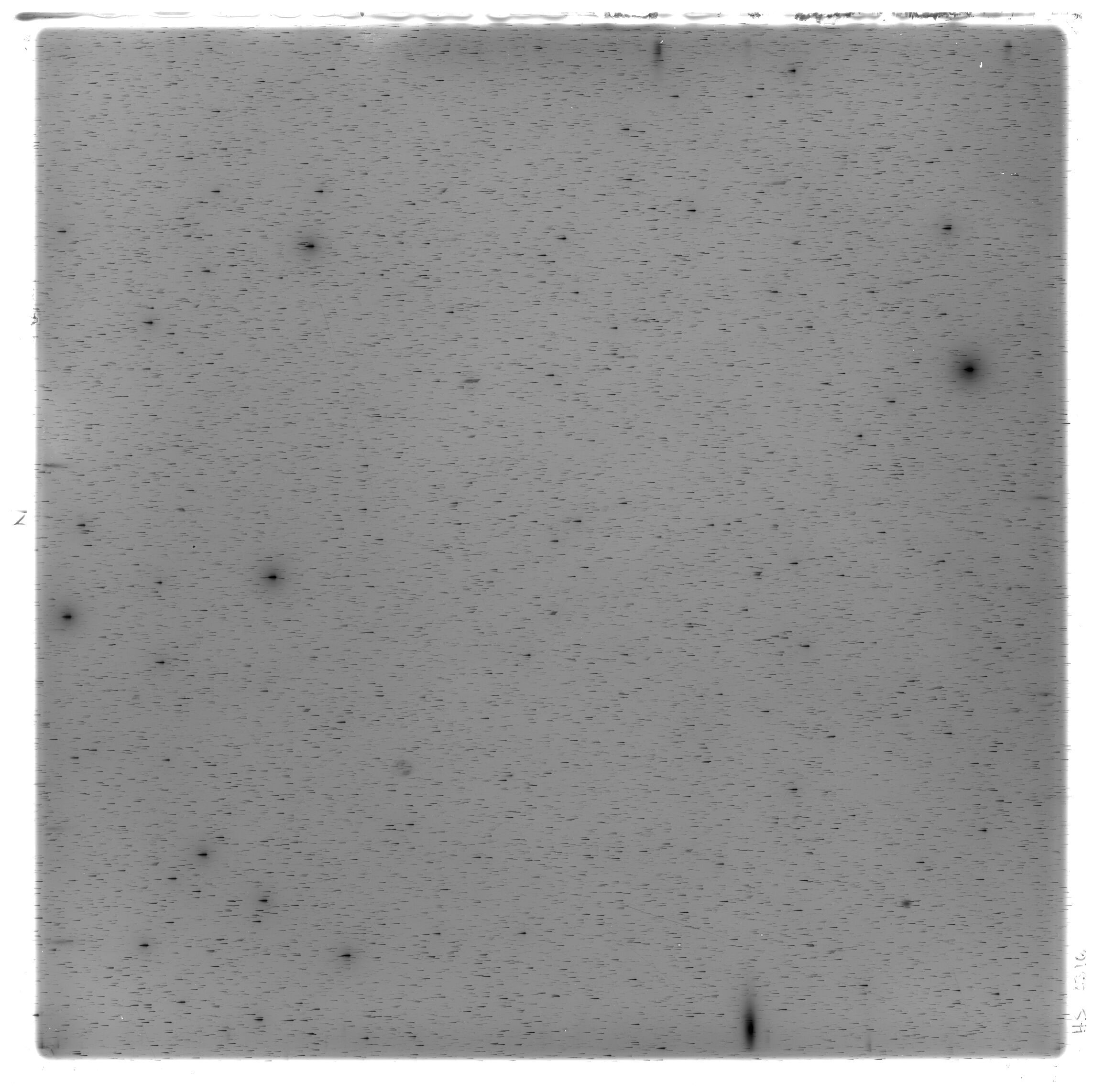 Scan HS02316
