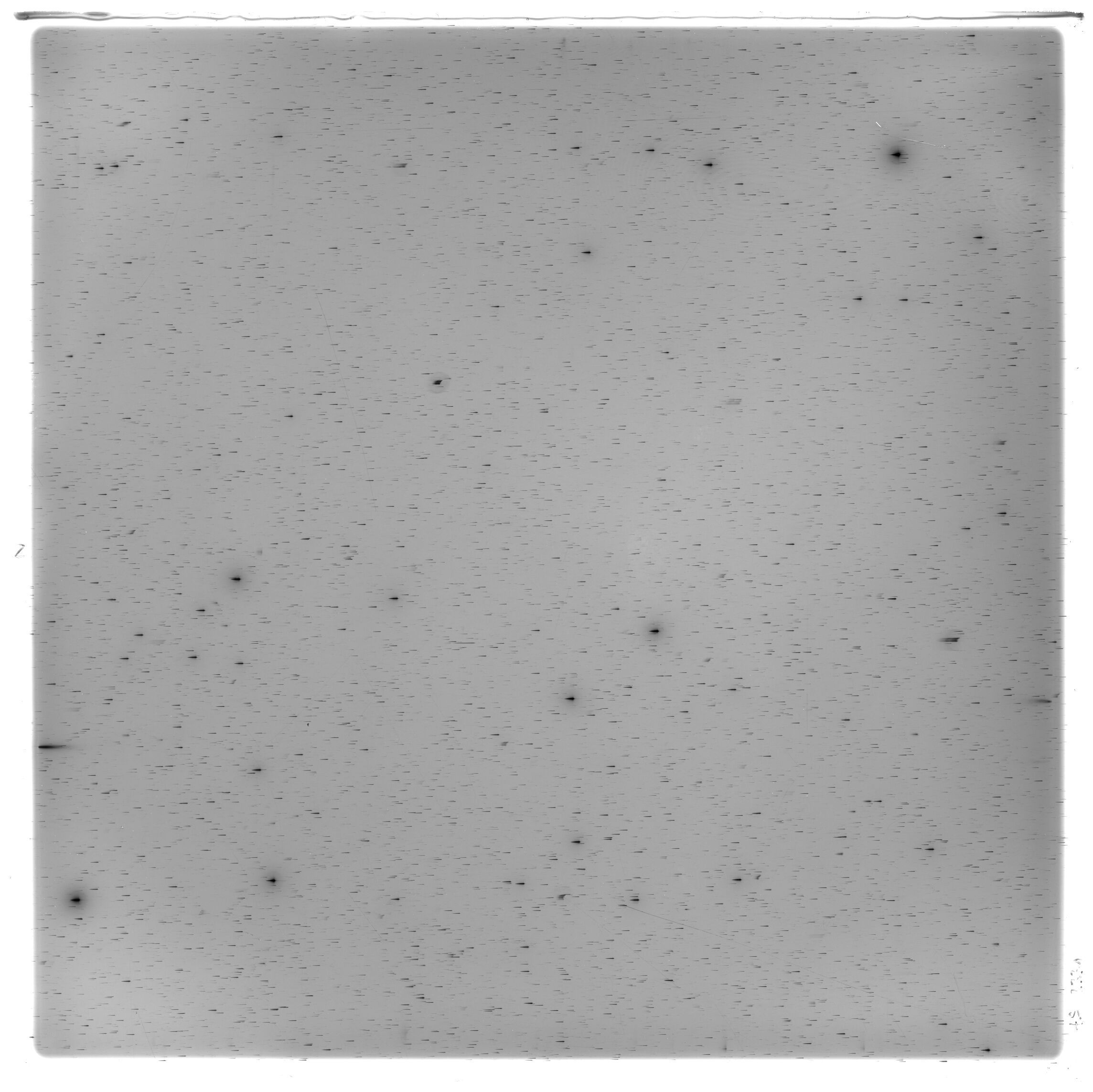 Scan HS02331