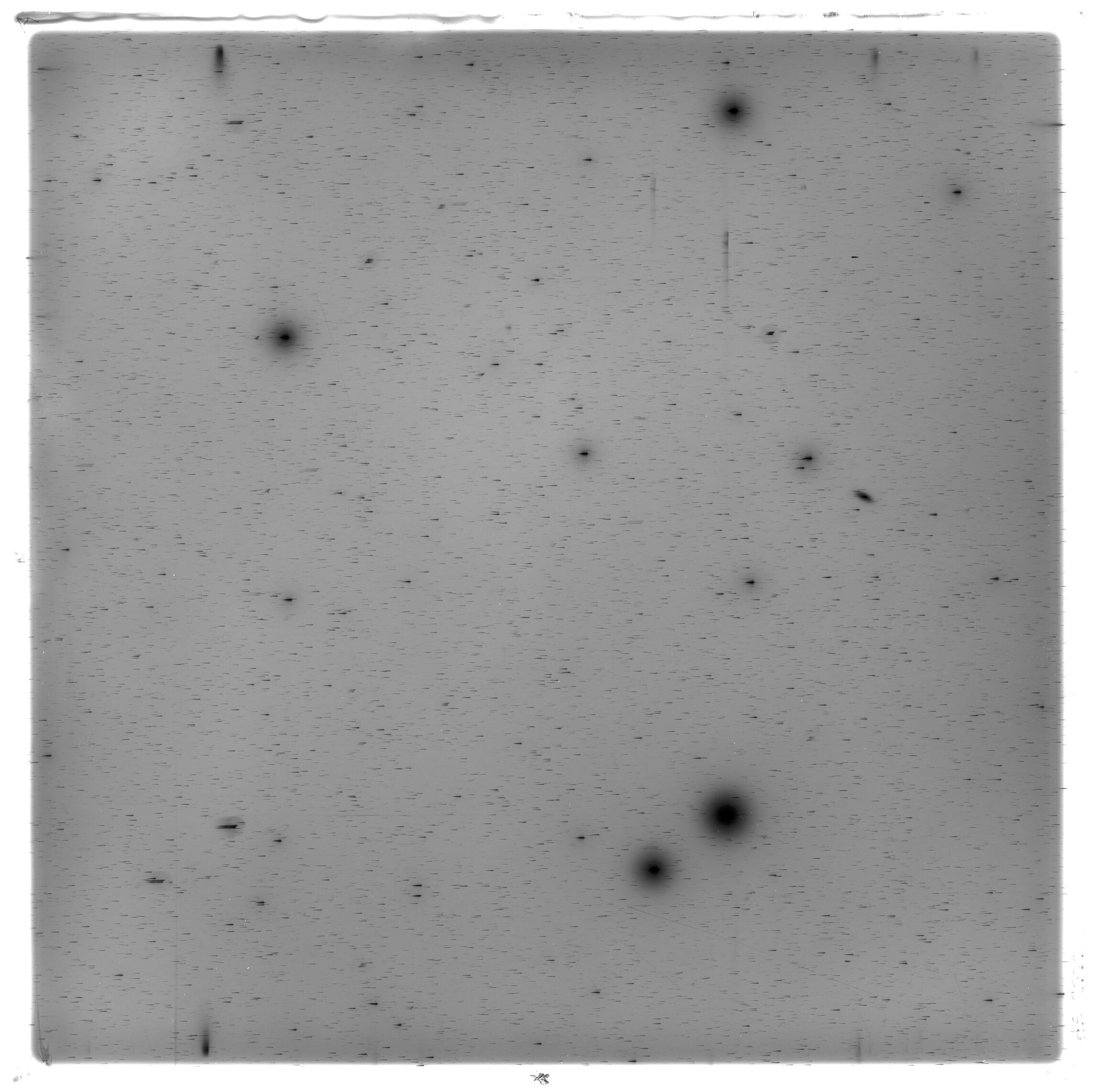 Scan HS02333