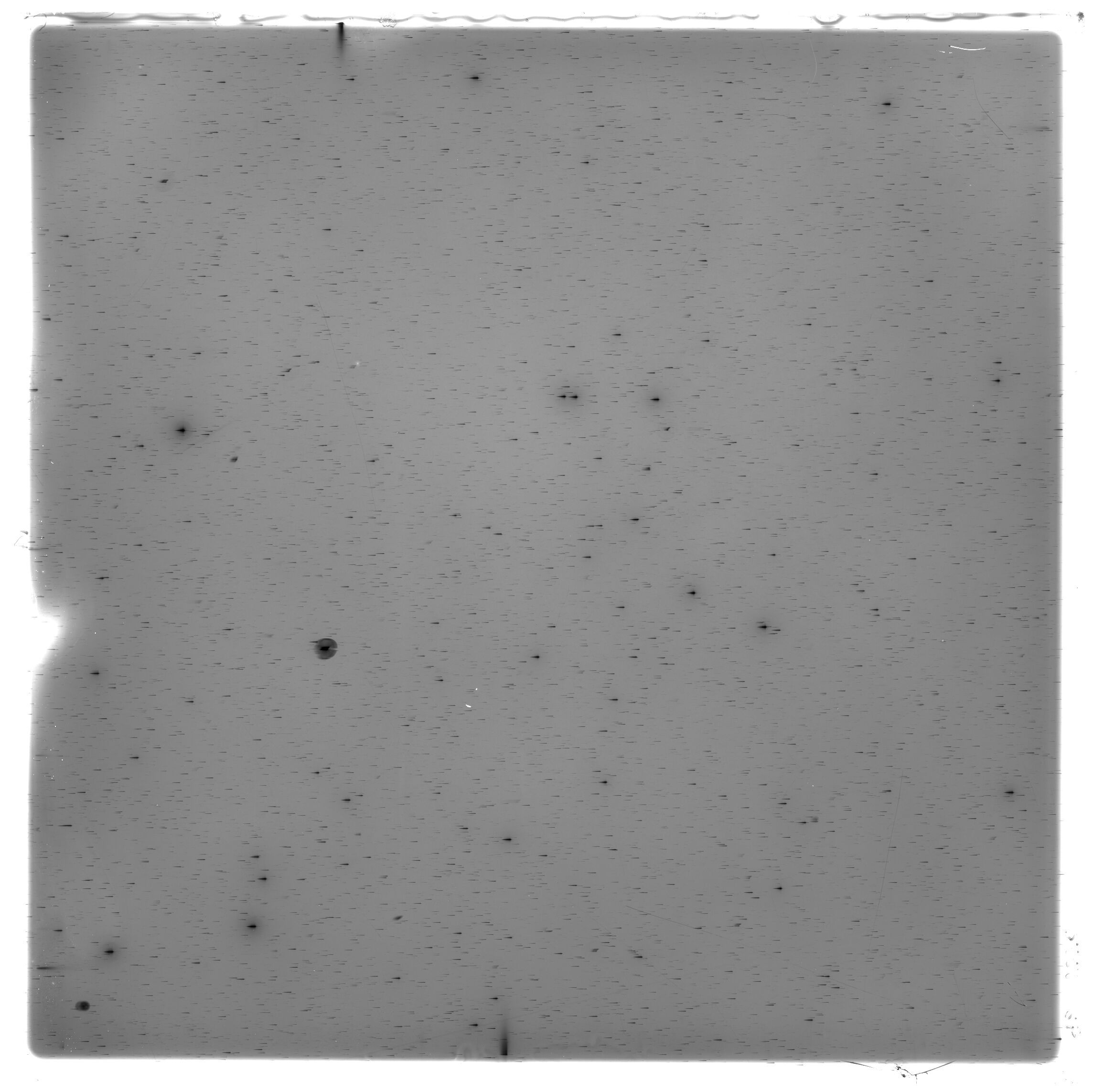 Scan HS02335