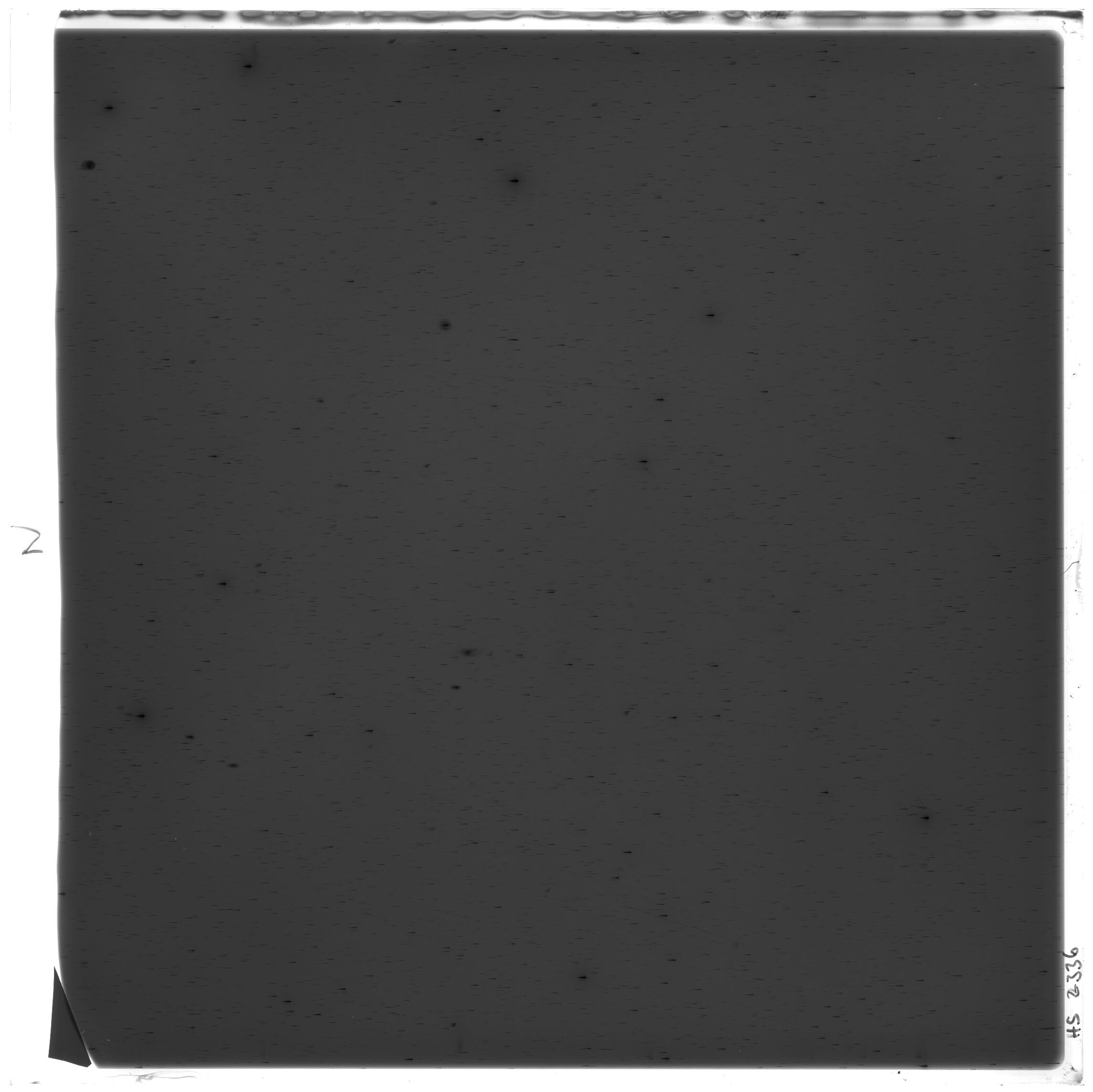 Scan HS02336