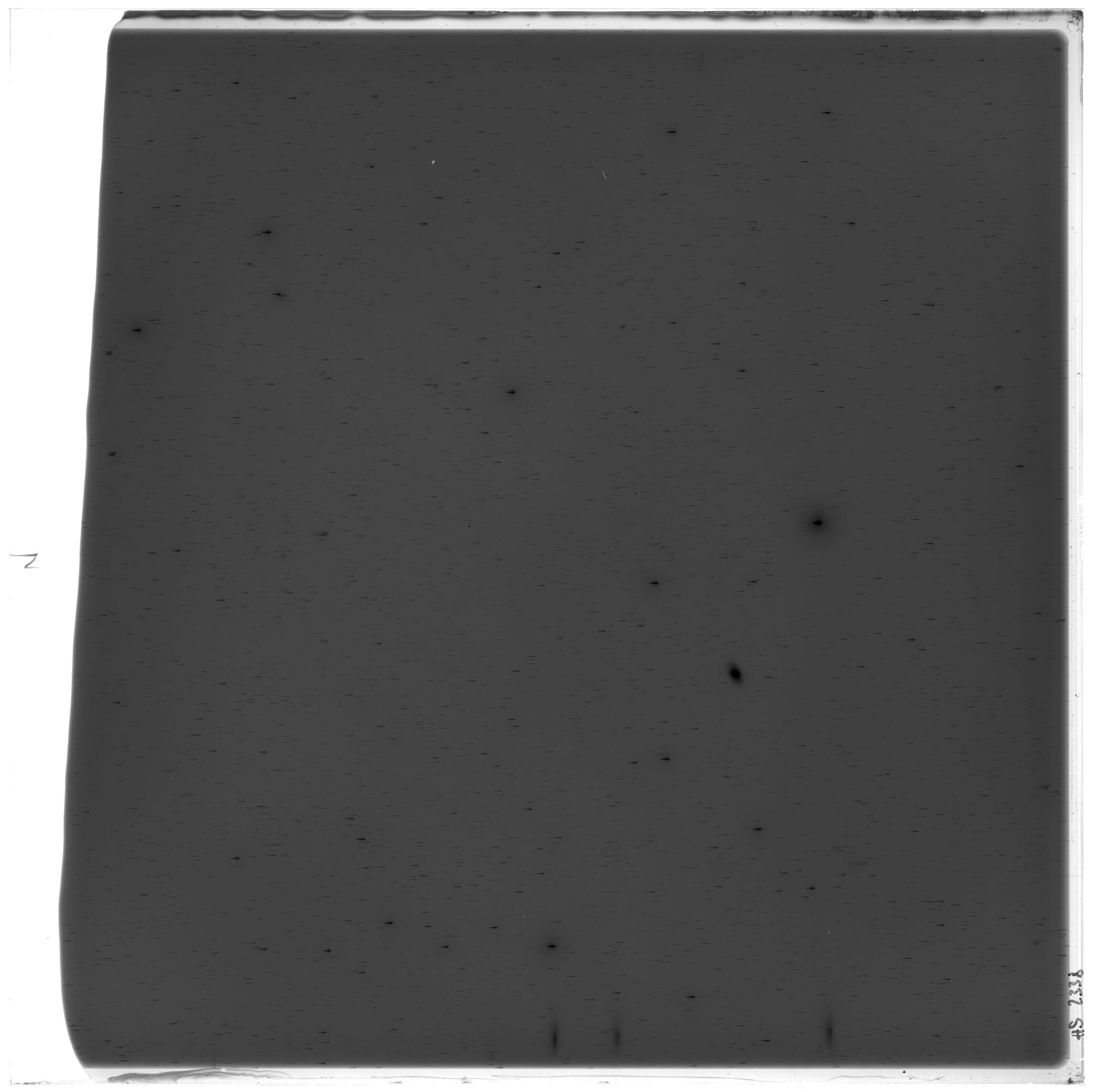 Scan HS02338