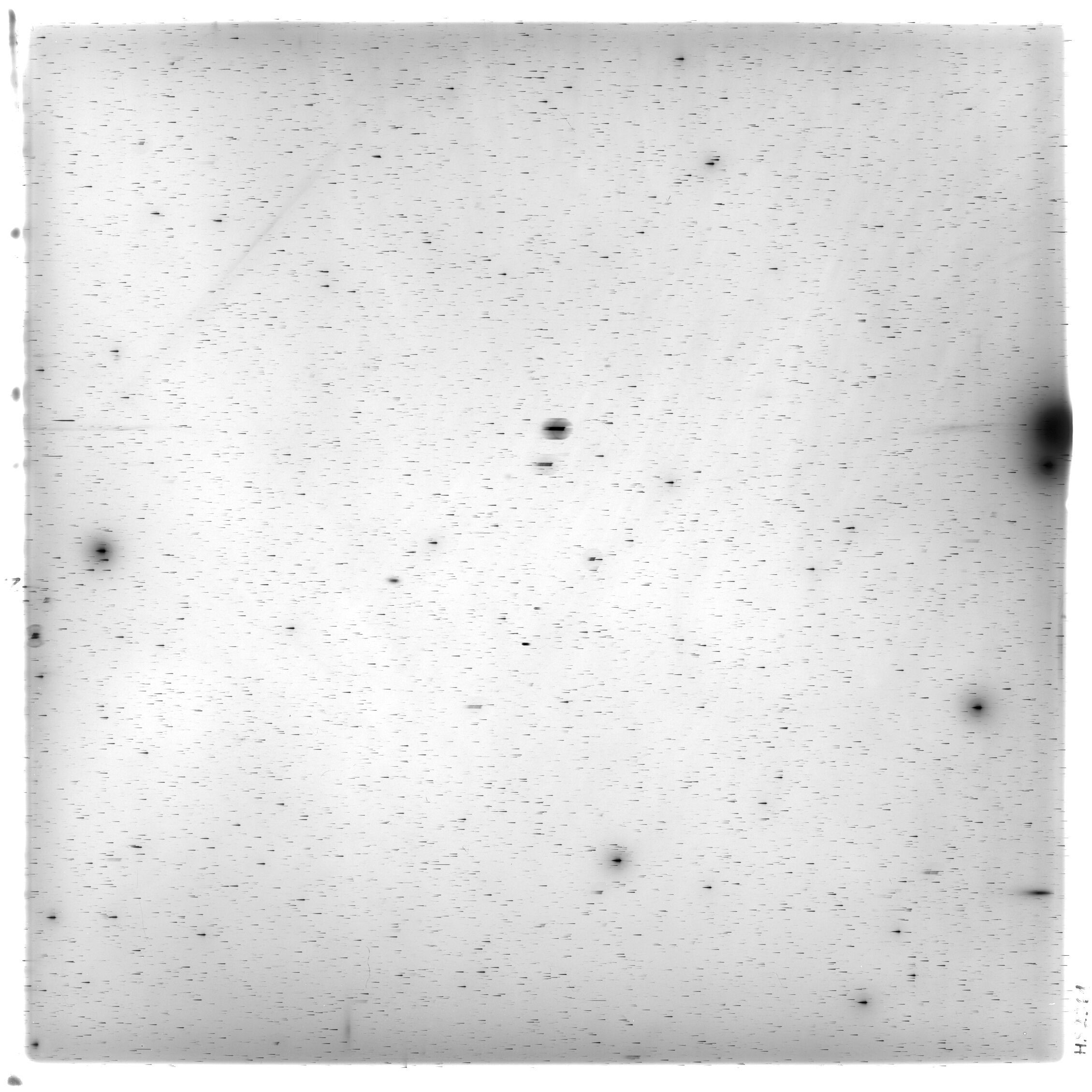 Scan HS02361