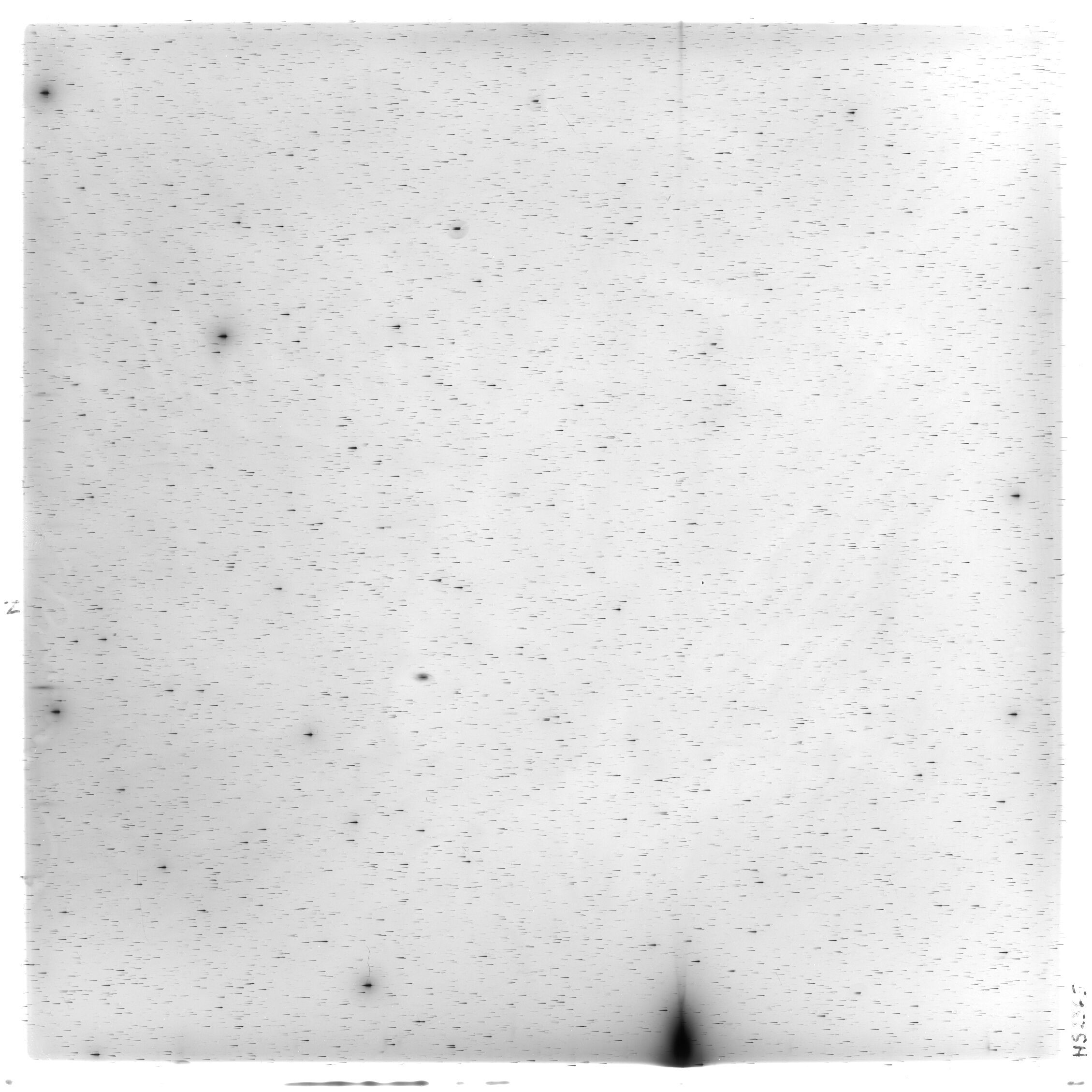 Scan HS02365