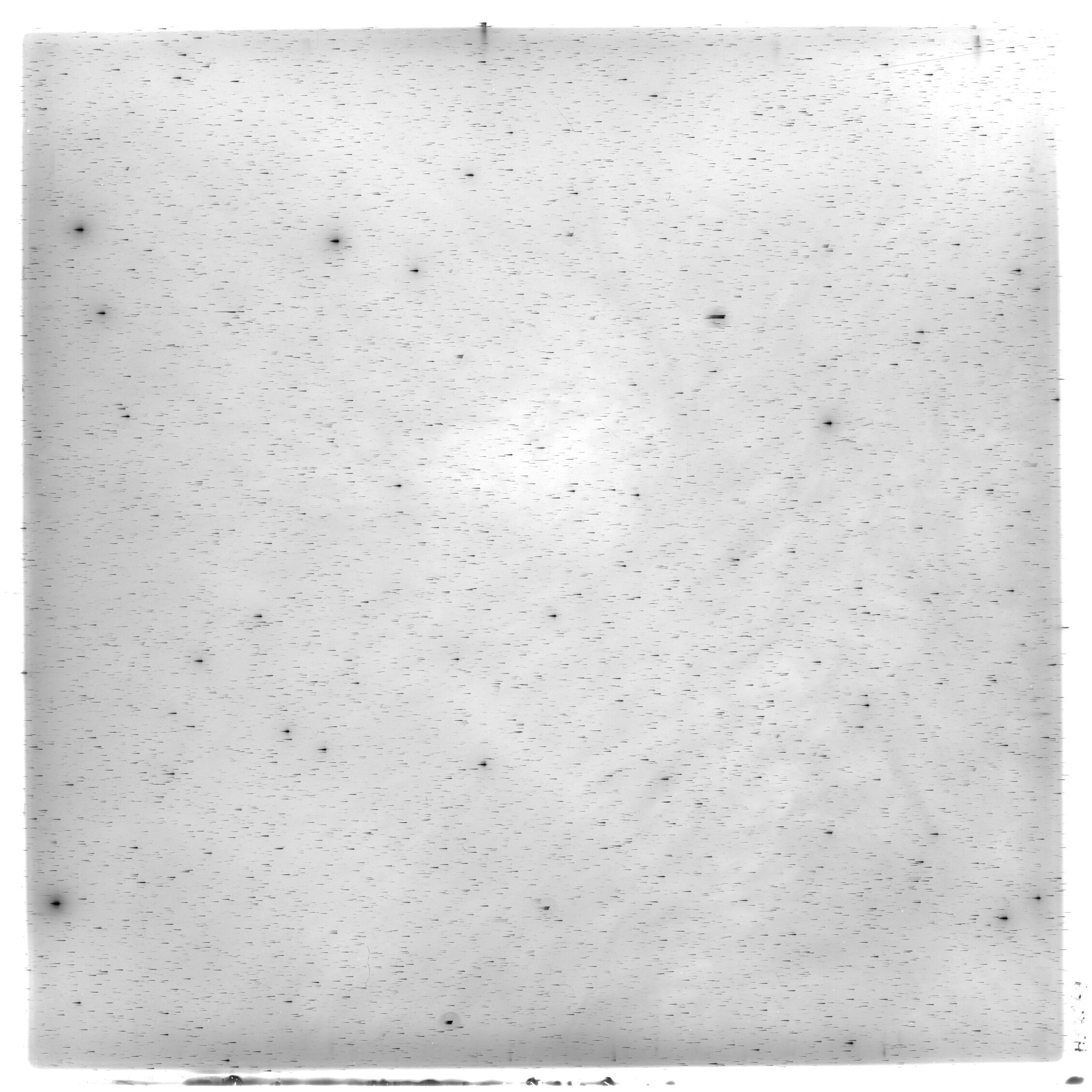 Scan HS02369