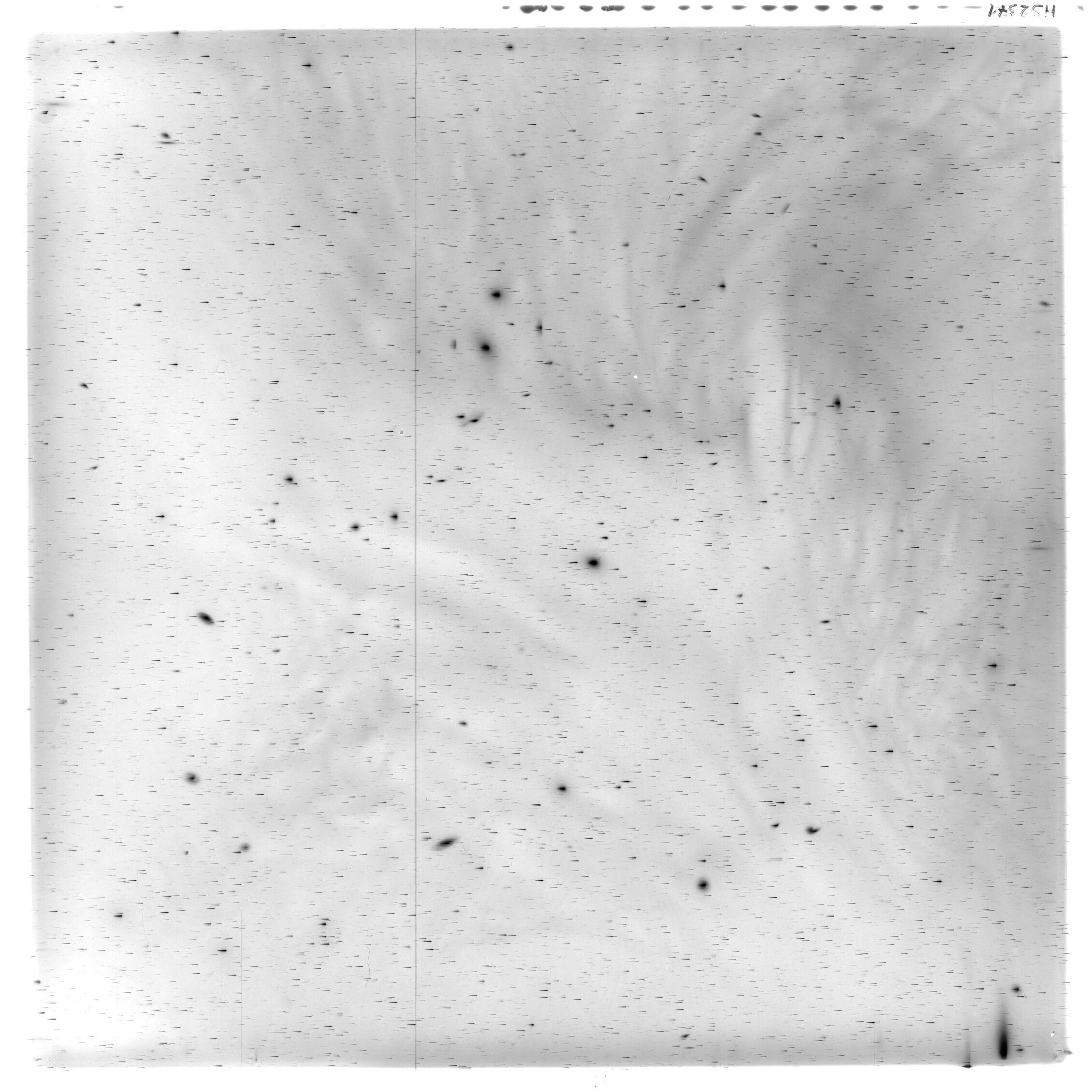 Scan HS02371