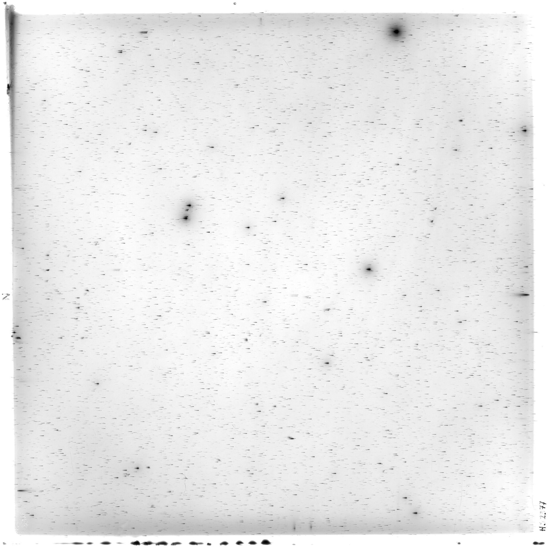 Scan HS02377