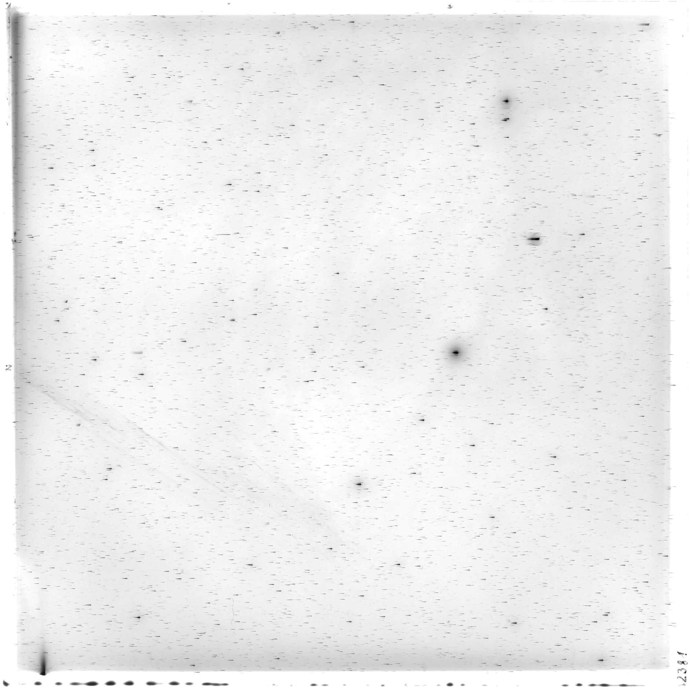 Scan HS02381