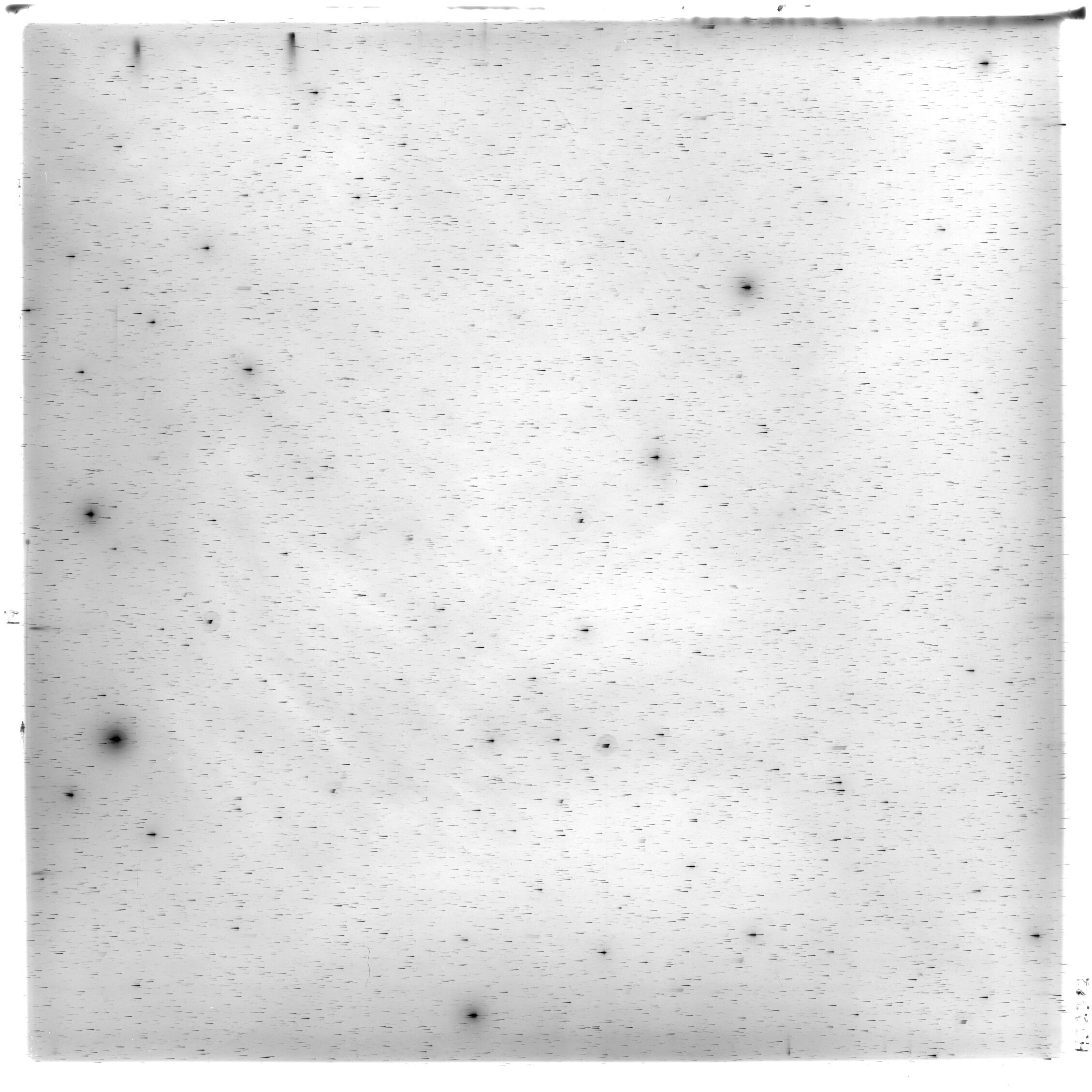 Scan HS02382