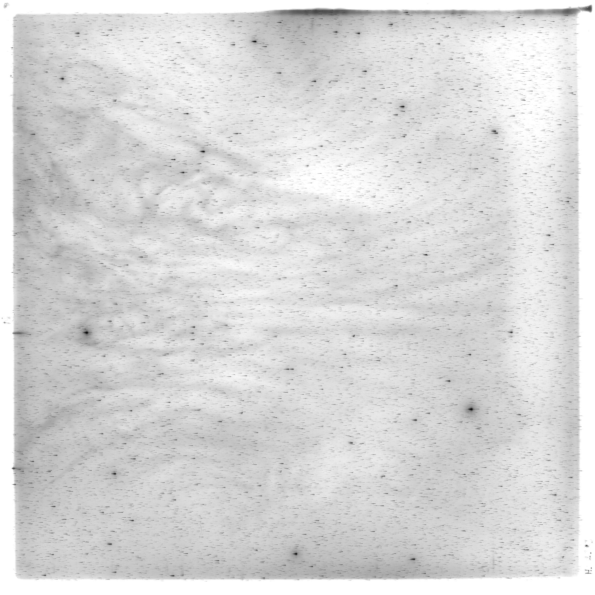 Scan HS02383