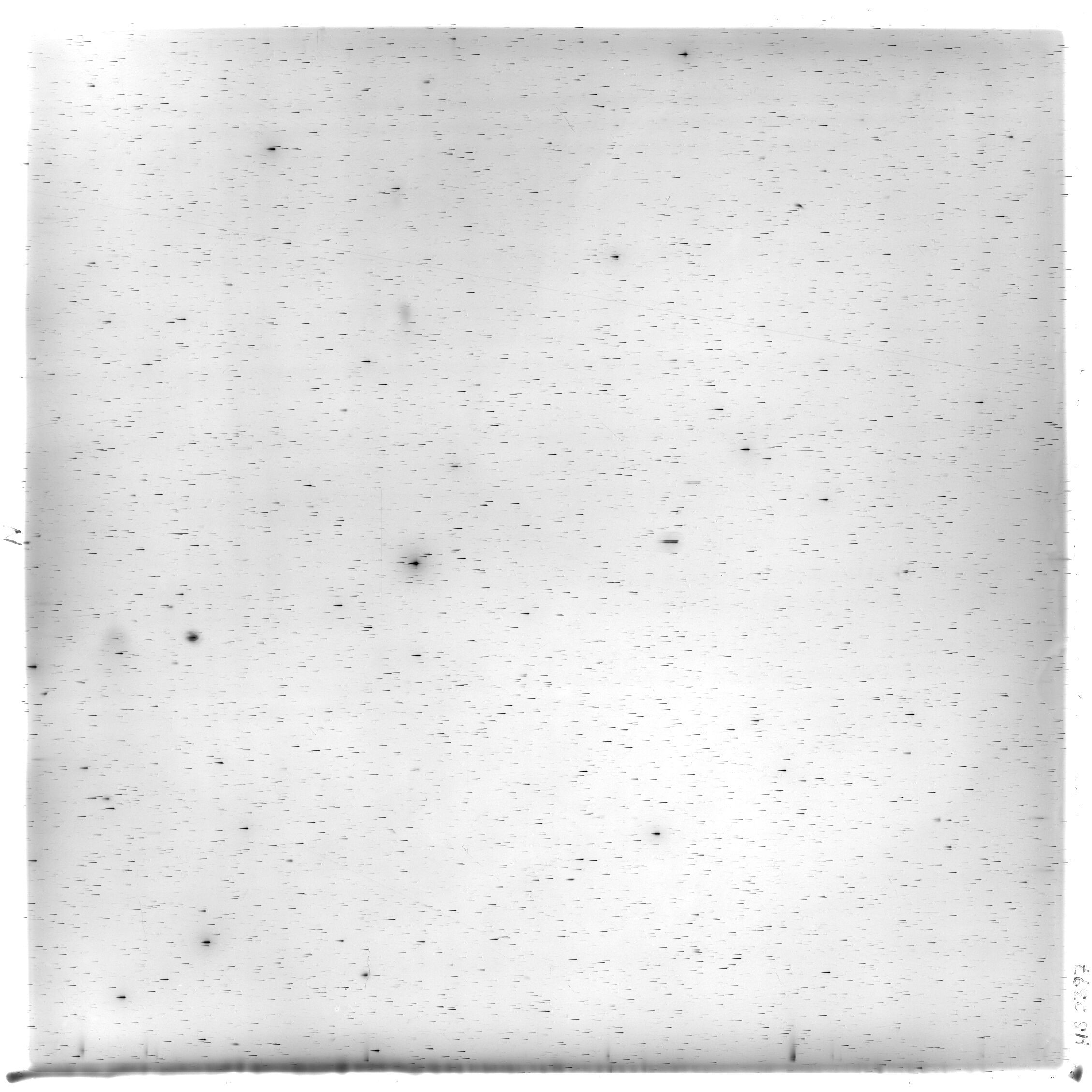 Scan HS02397