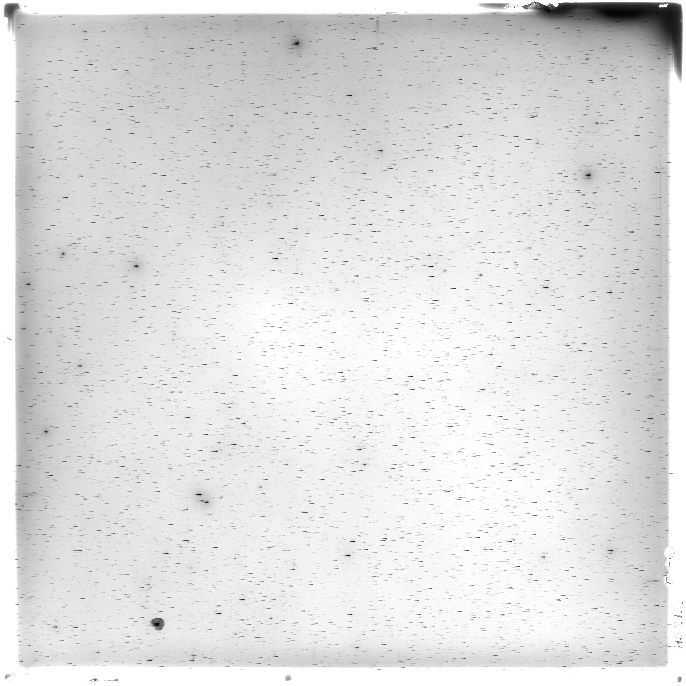 Scan HS02412