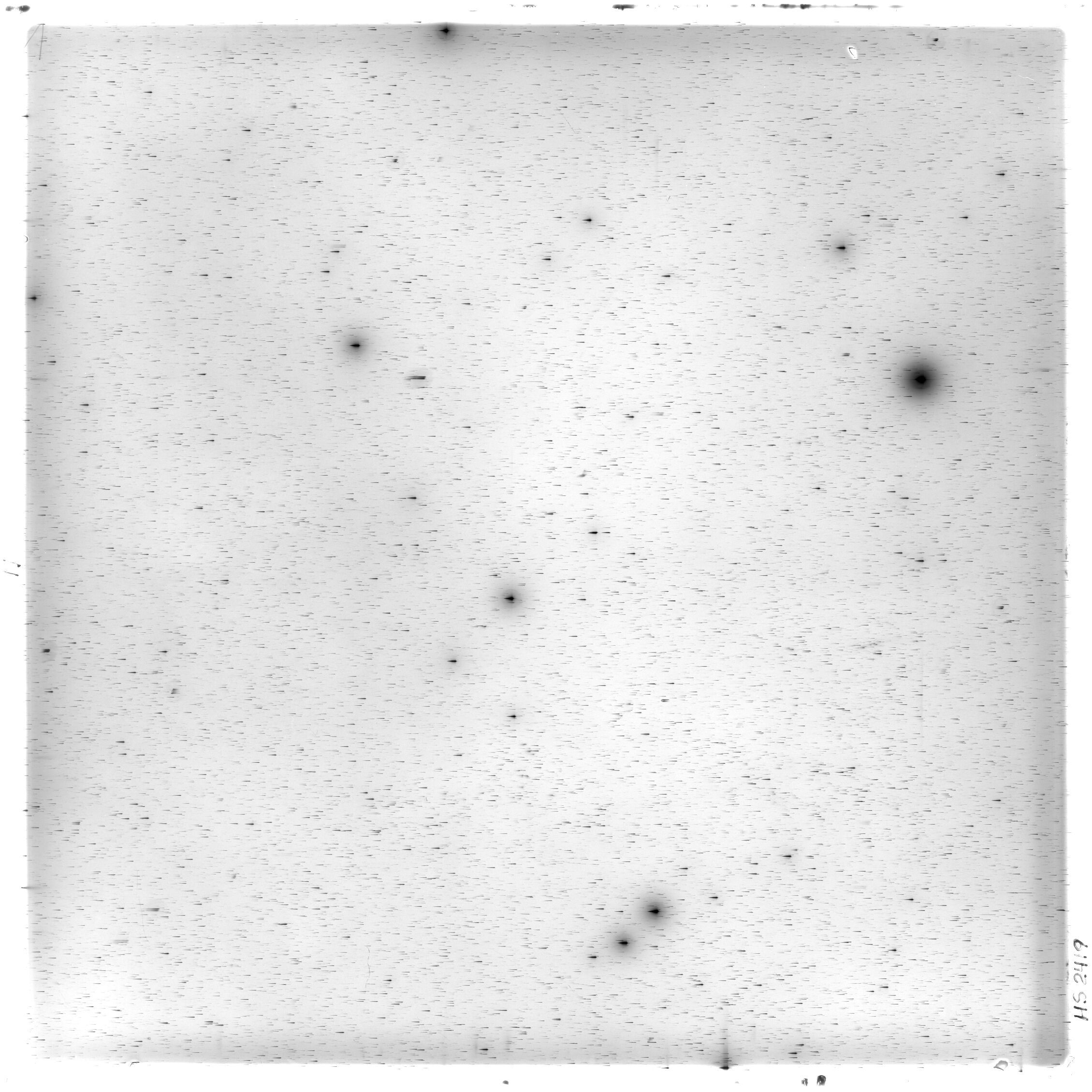 Scan HS02419