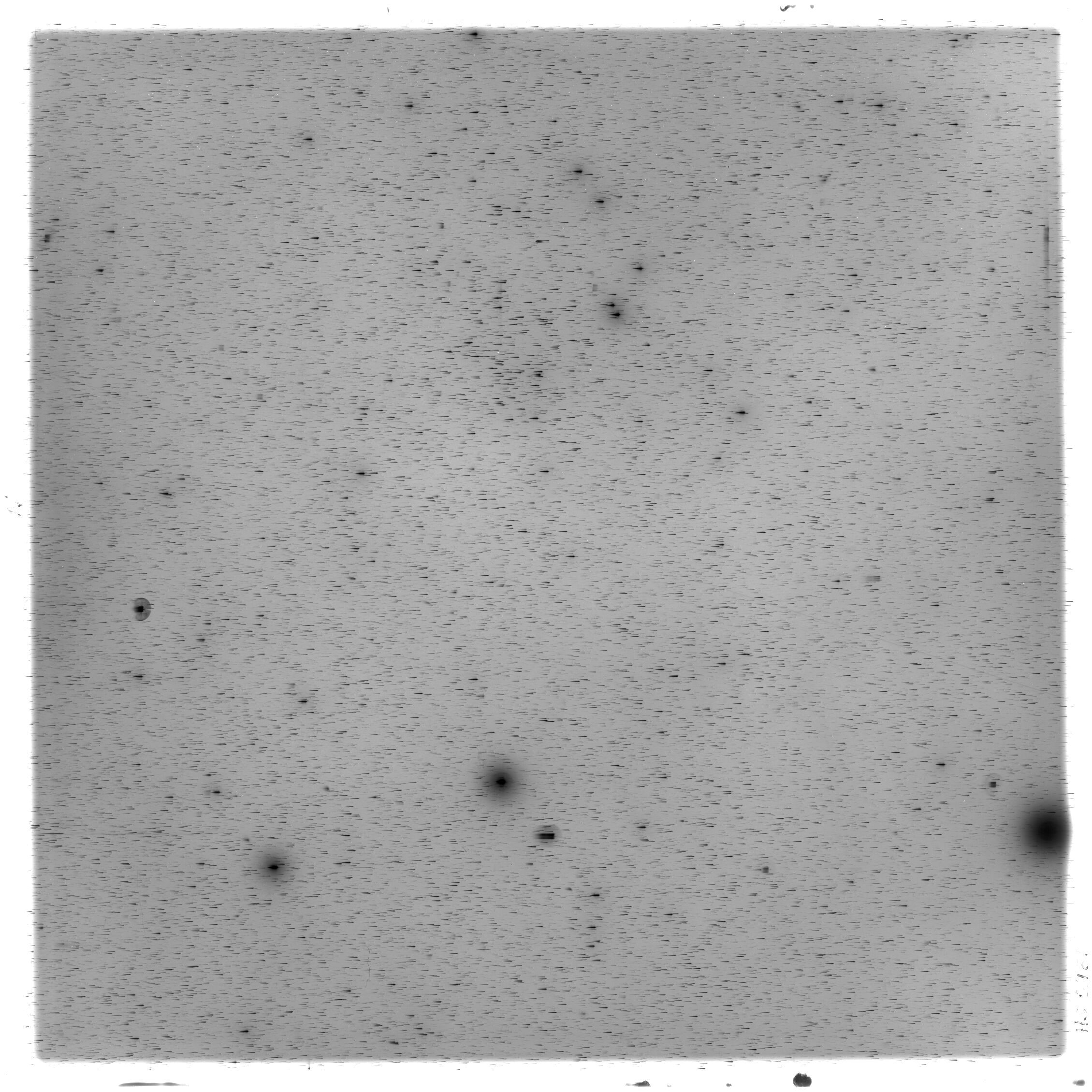 Scan HS02461