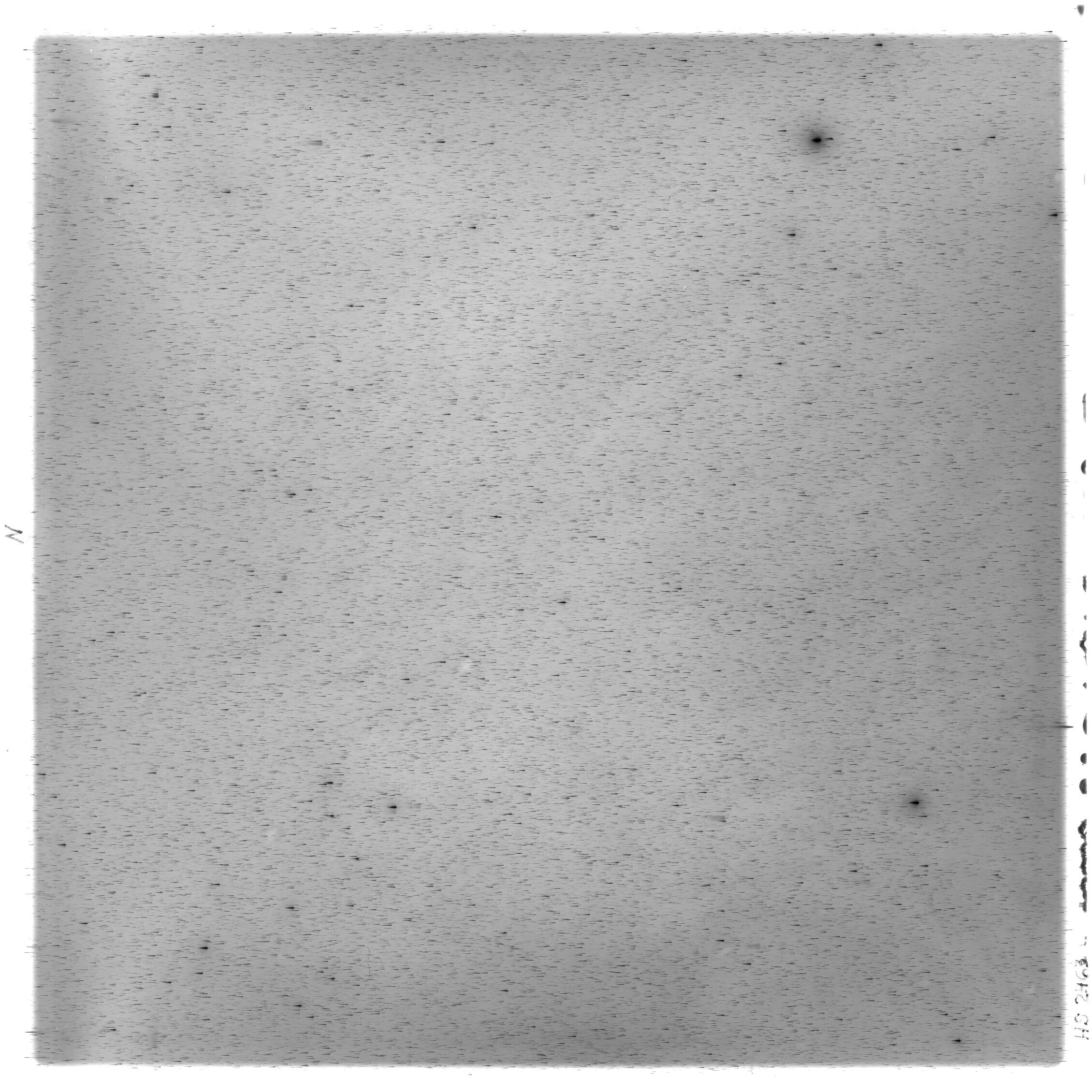 Scan HS02463