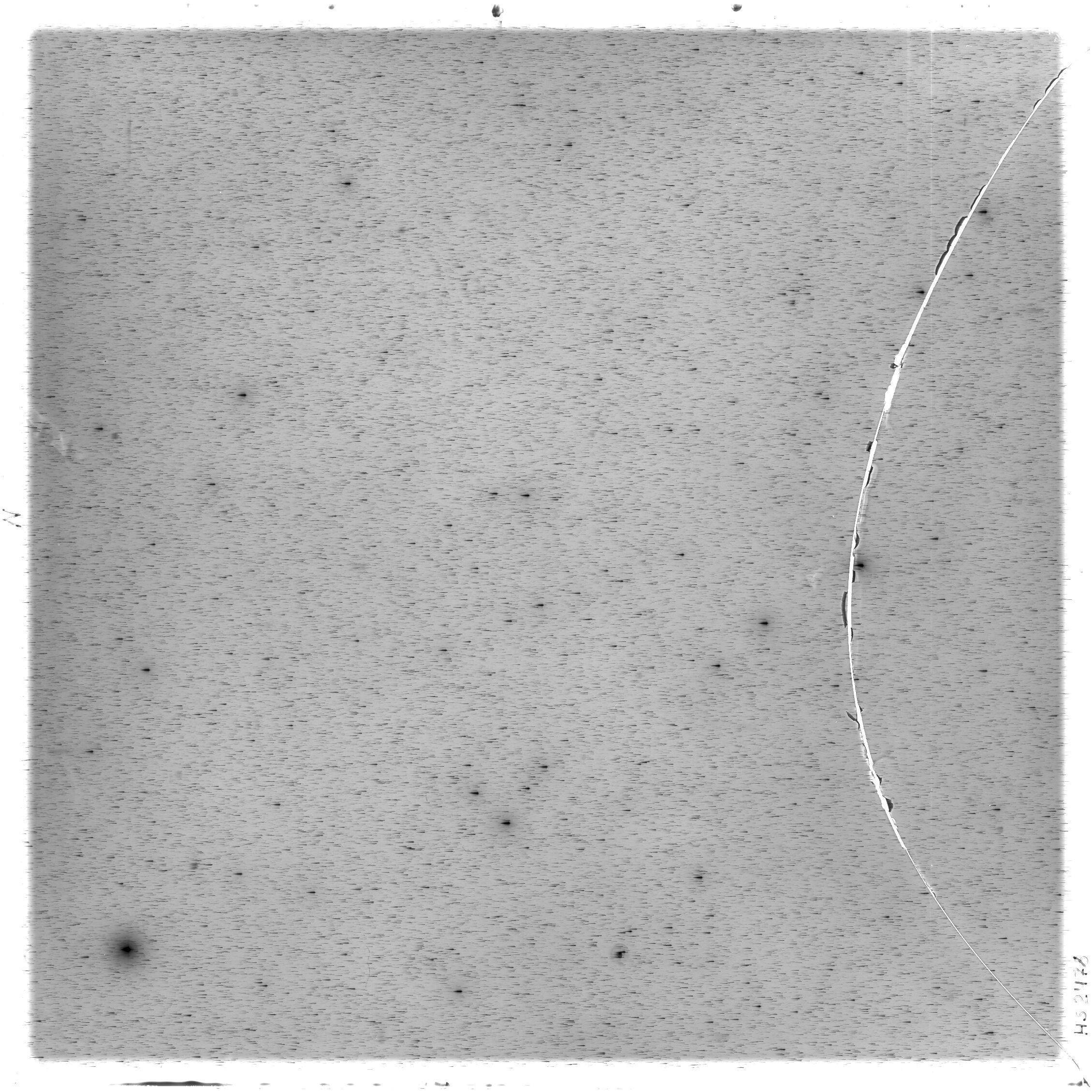 Scan HS02478