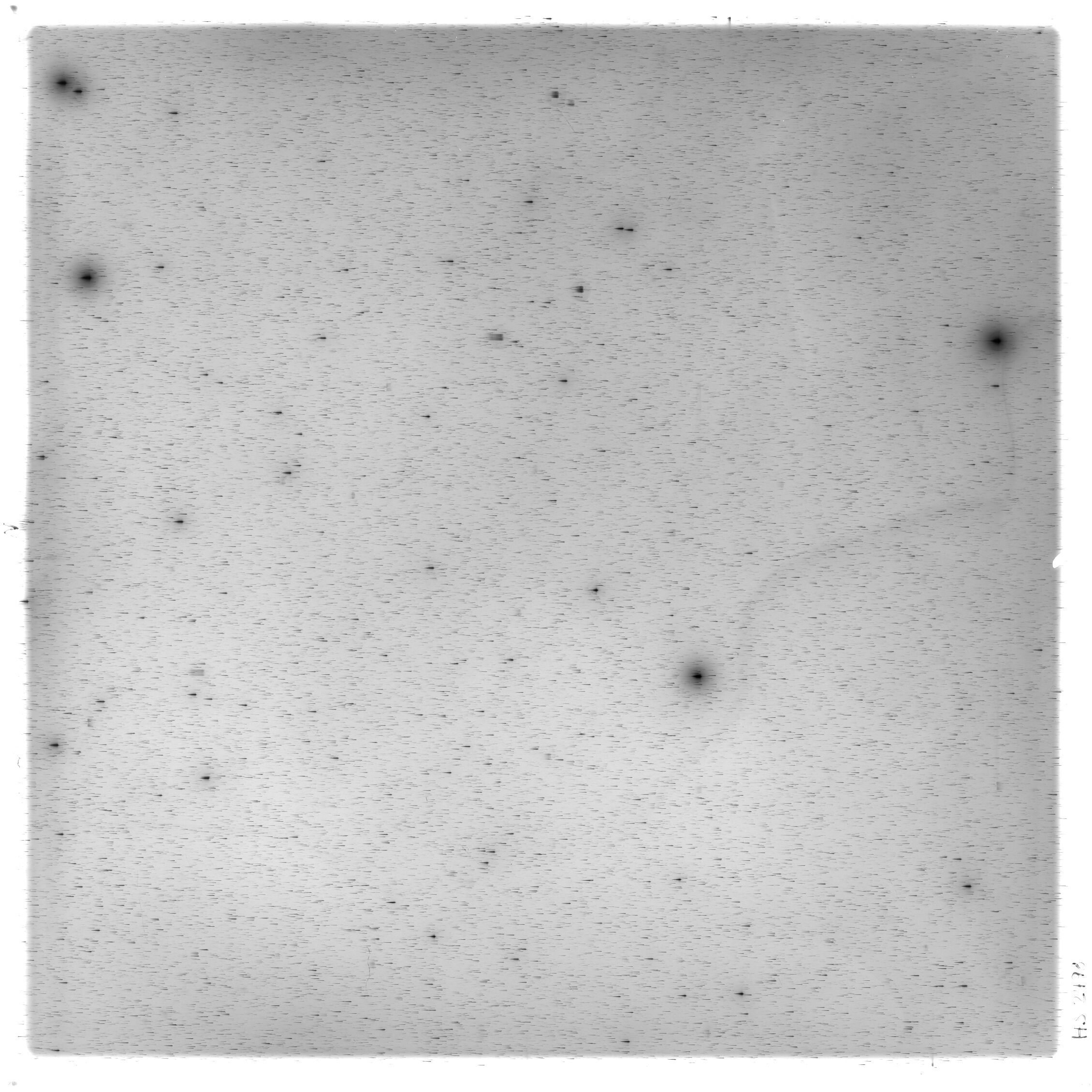 Scan HS02498