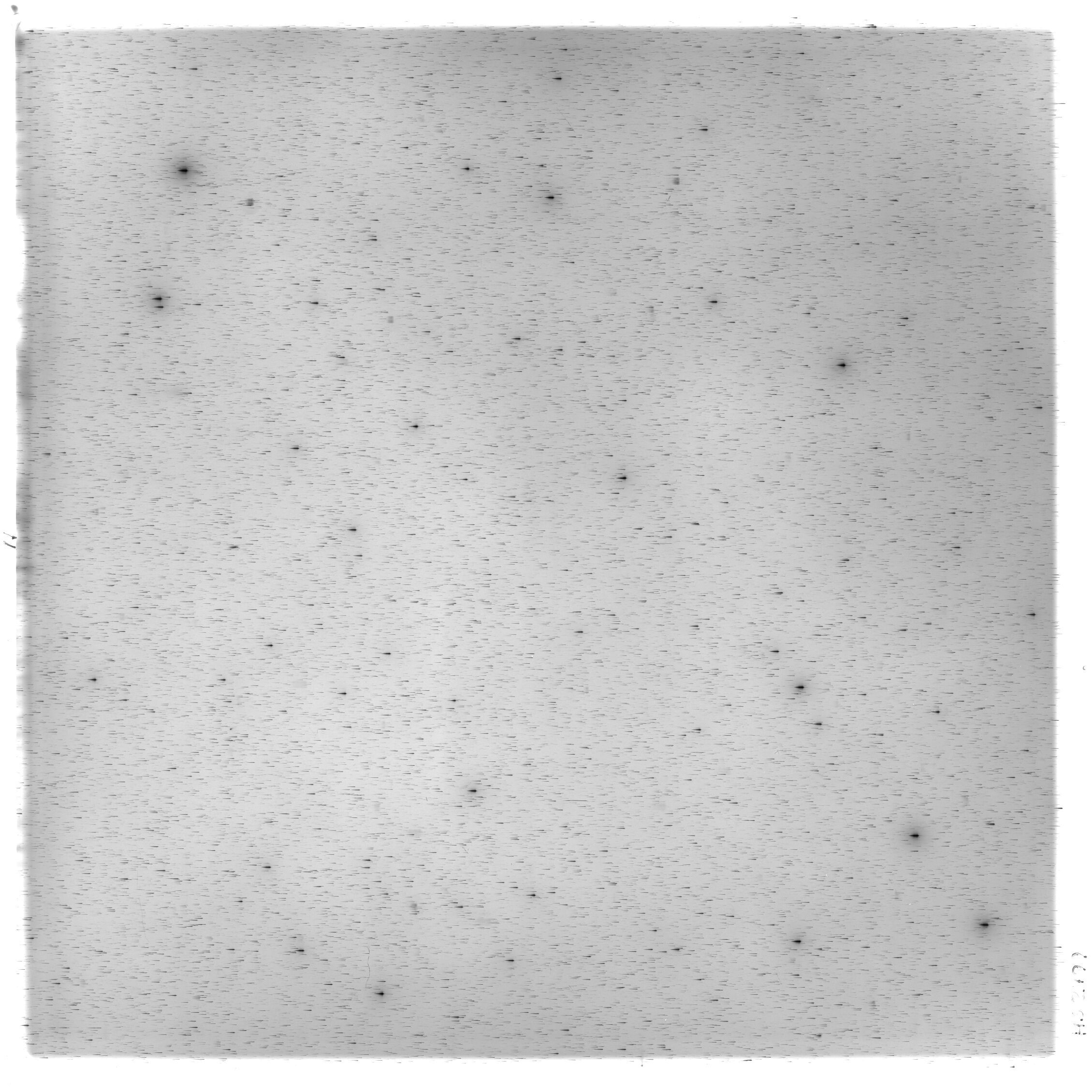 Scan HS02499