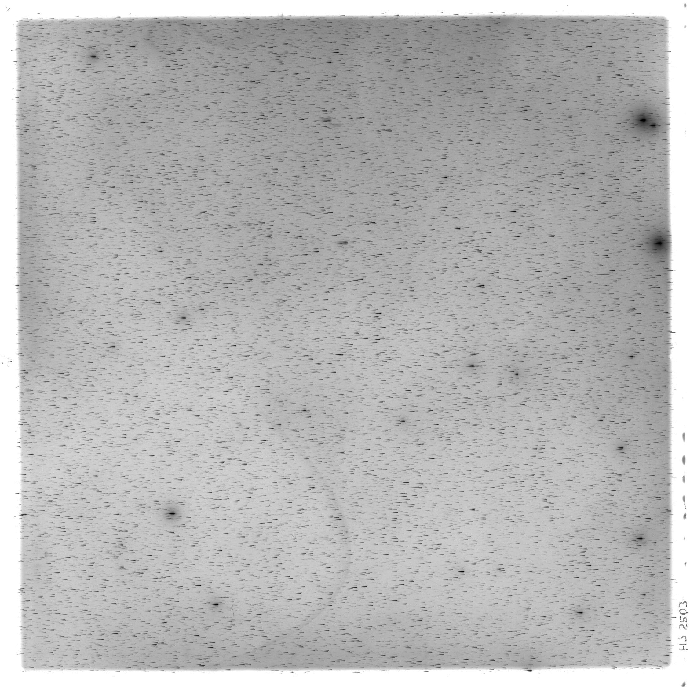 Scan HS02503