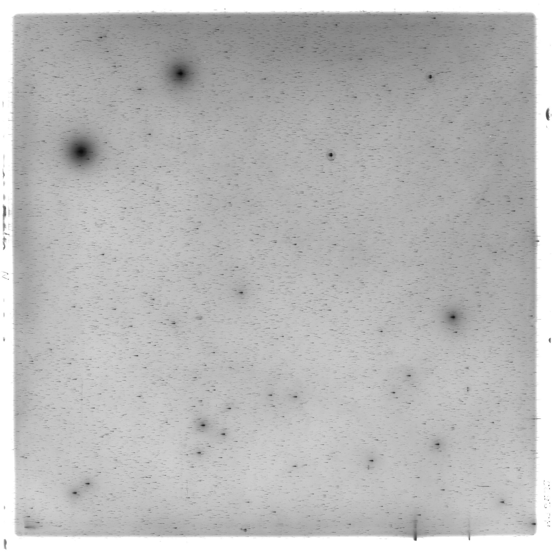 Scan HS02525