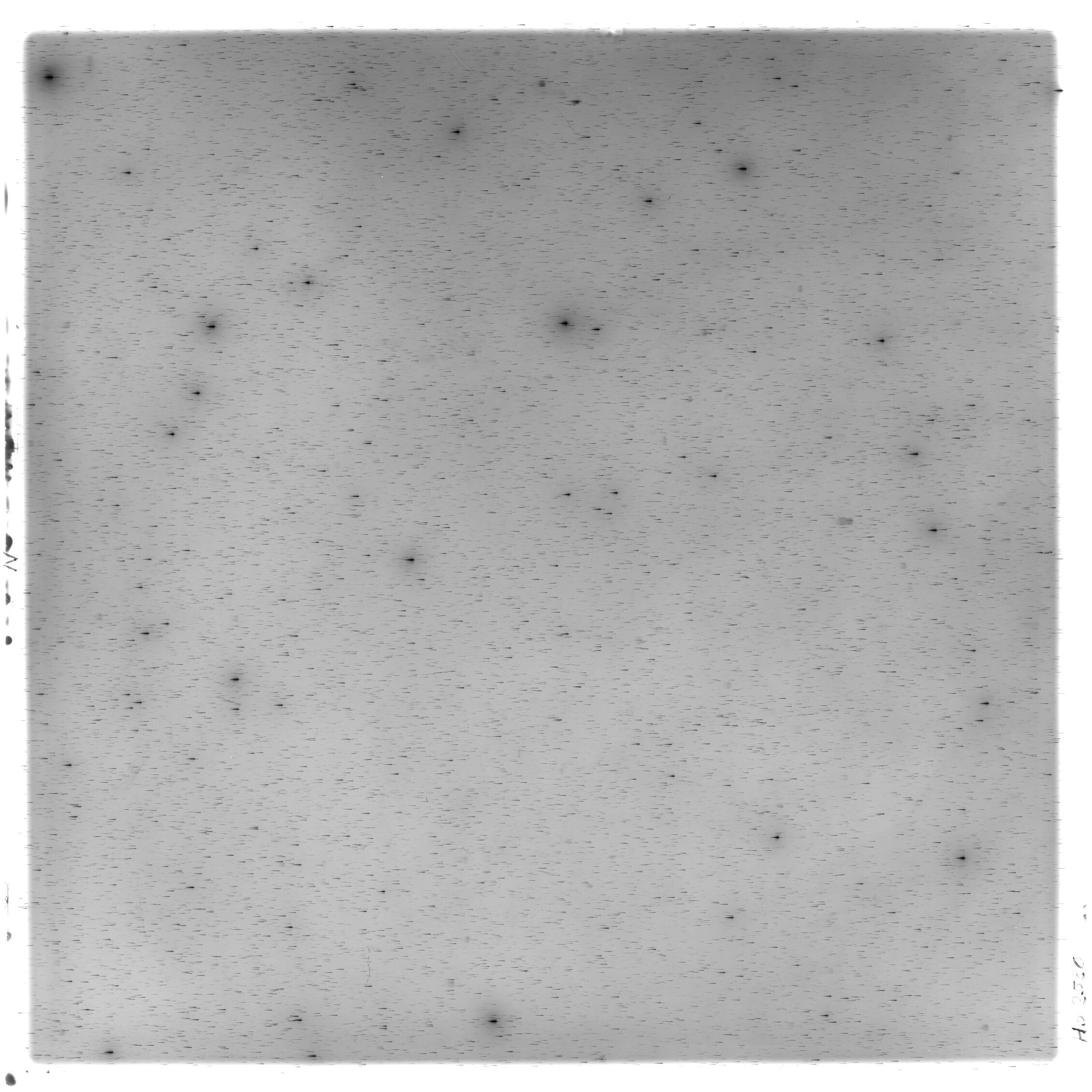 Scan HS02526