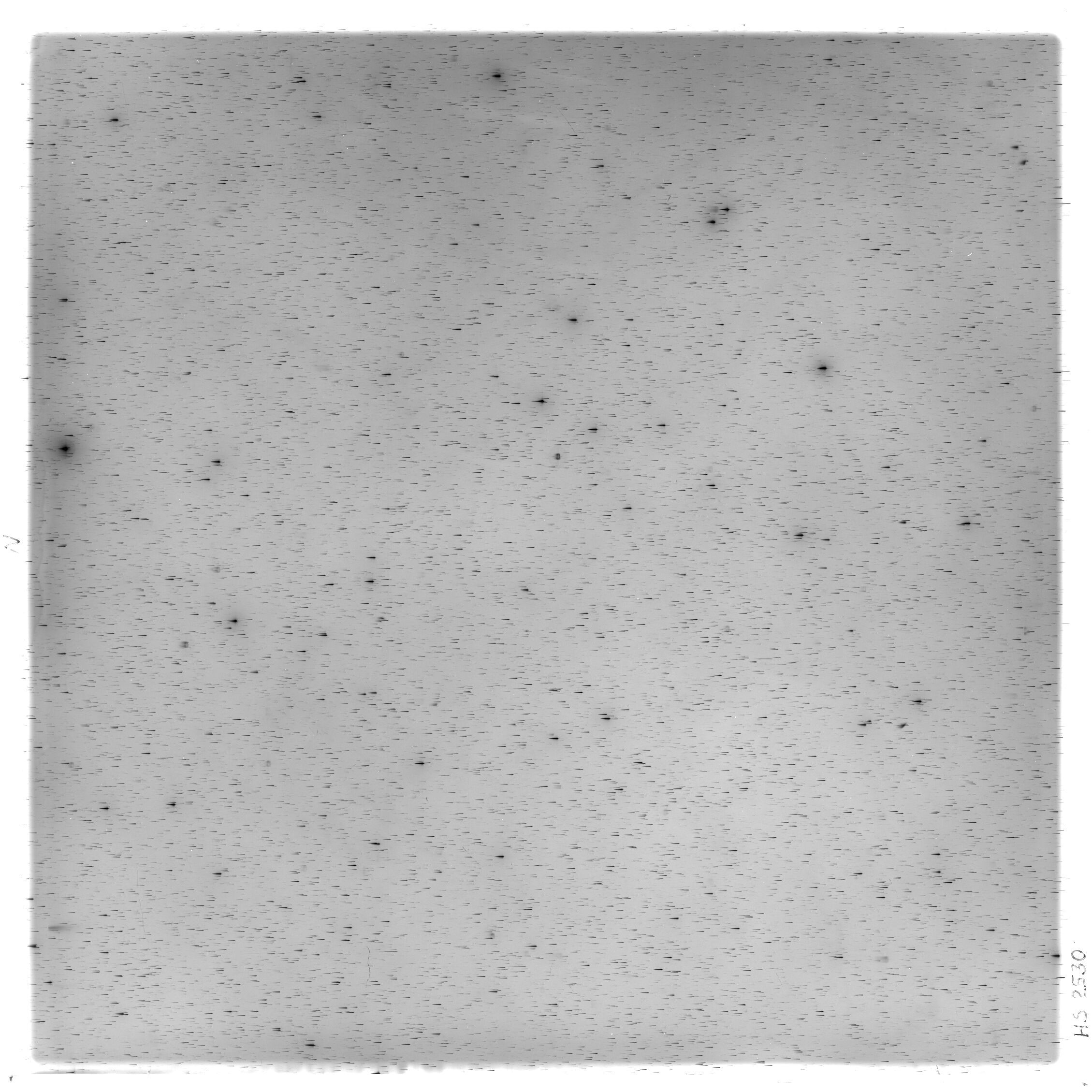 Scan HS02530