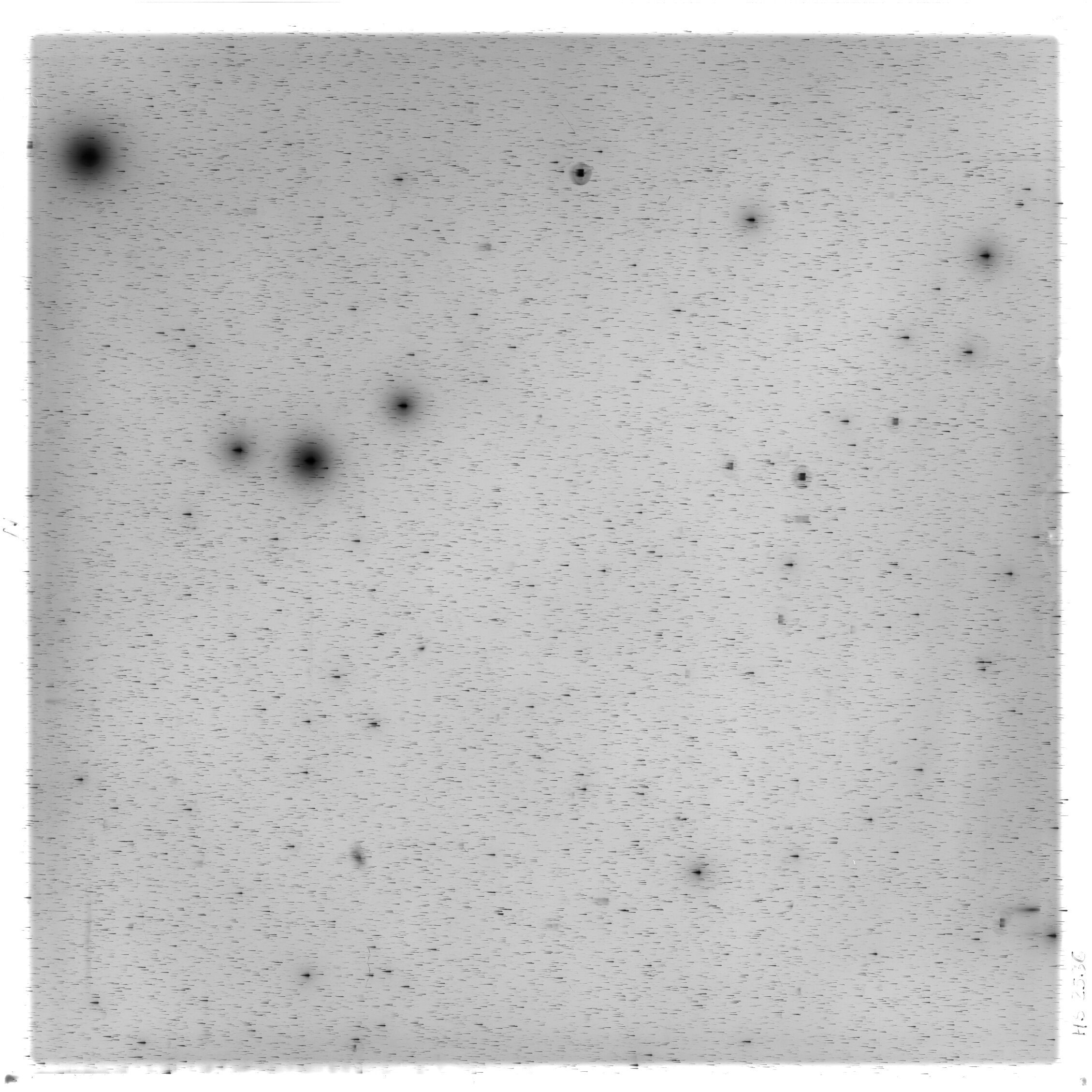 Scan HS02536
