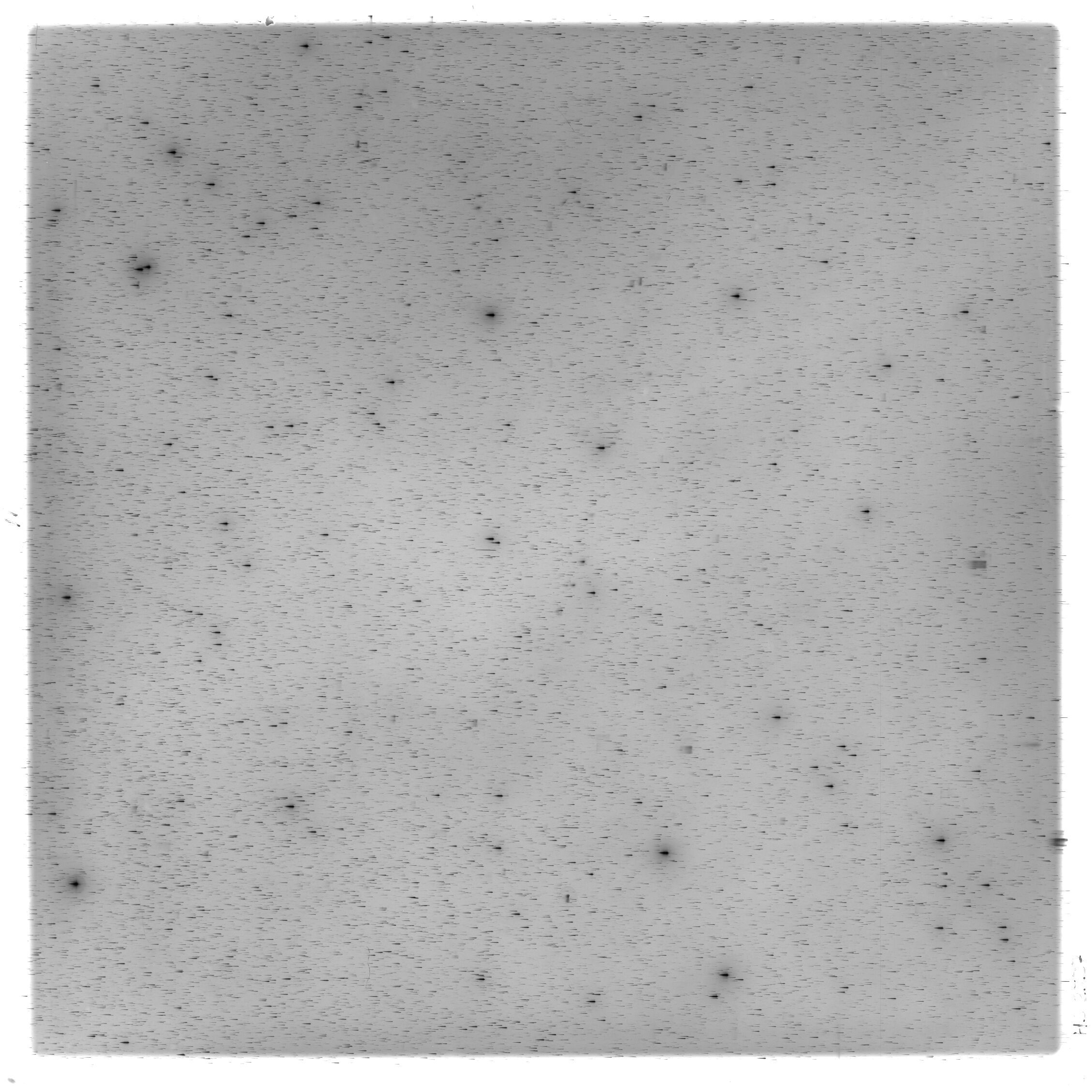 Scan HS02537
