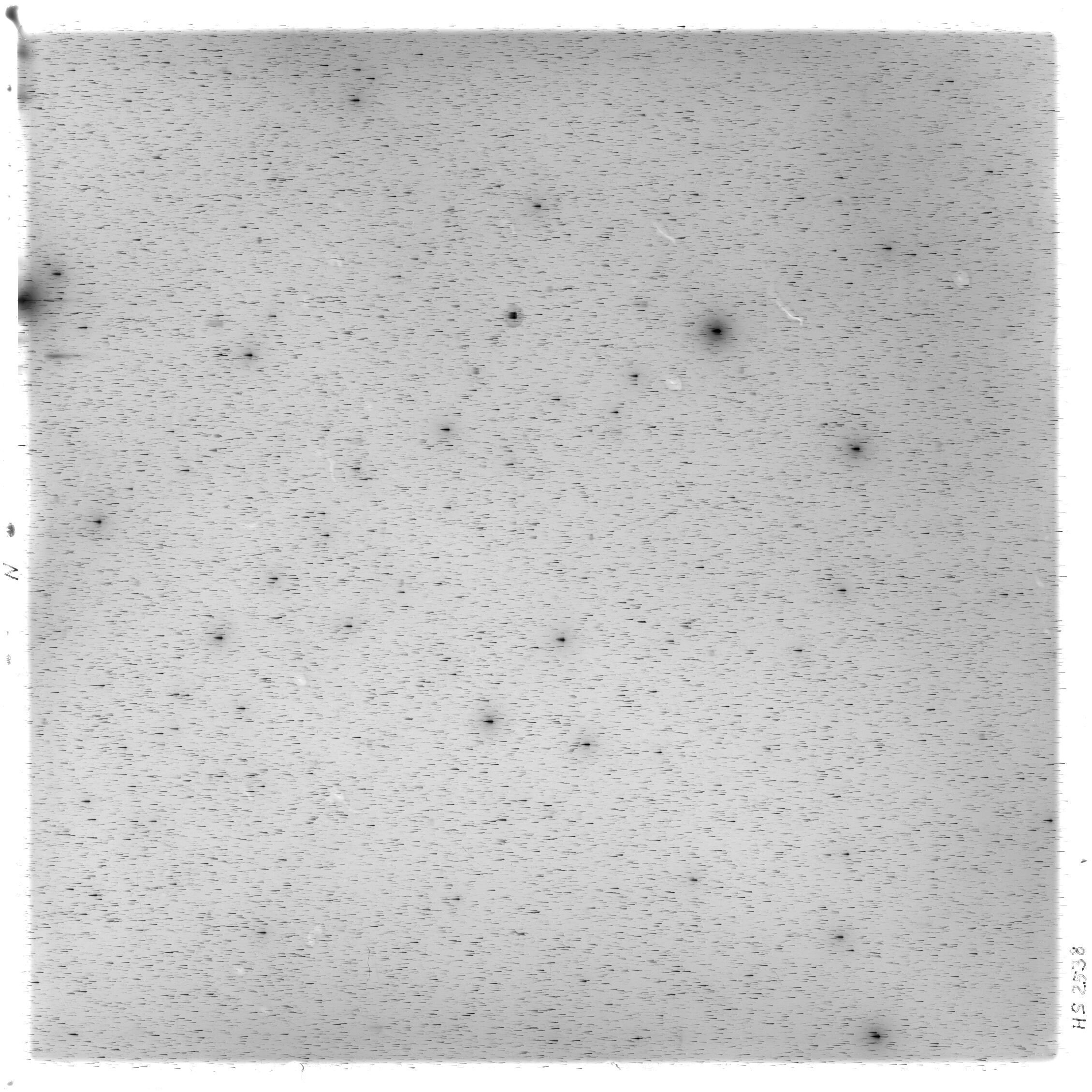 Scan HS02538