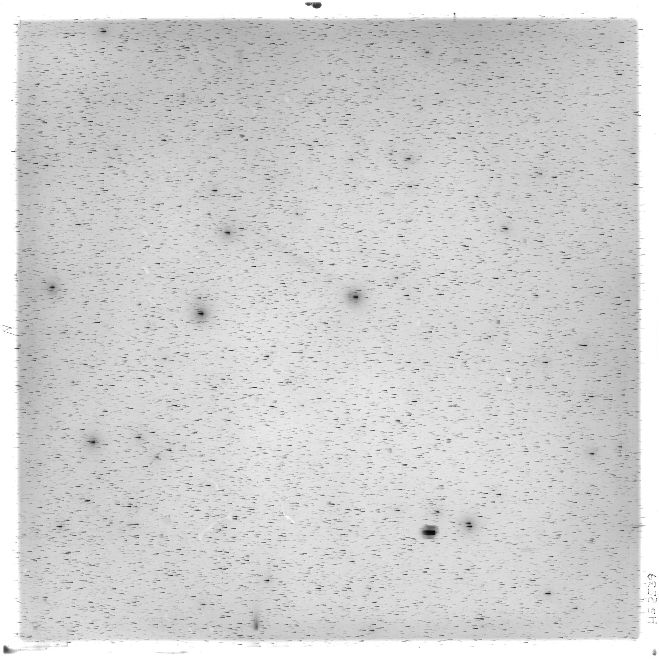 Scan HS02539