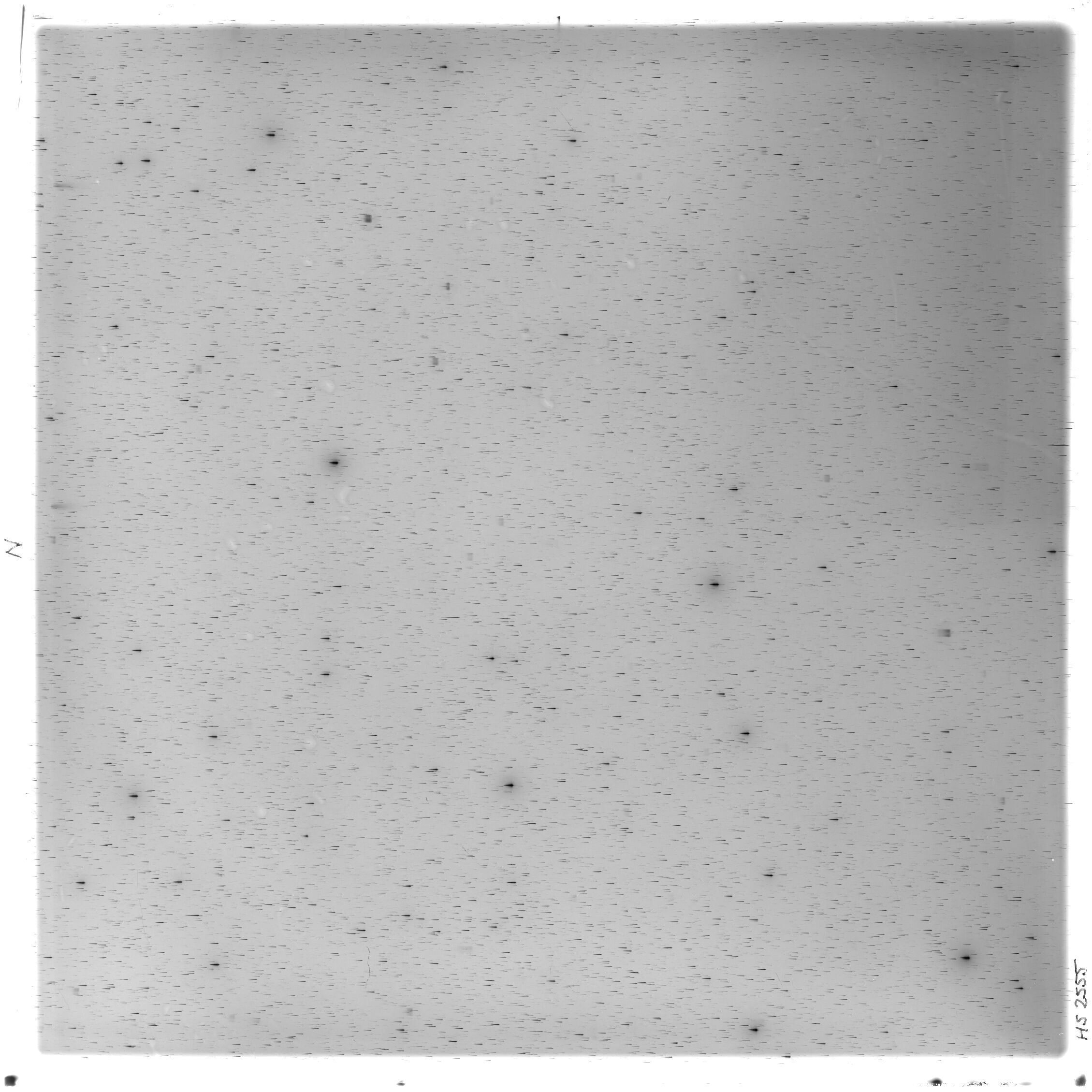 Scan HS02555