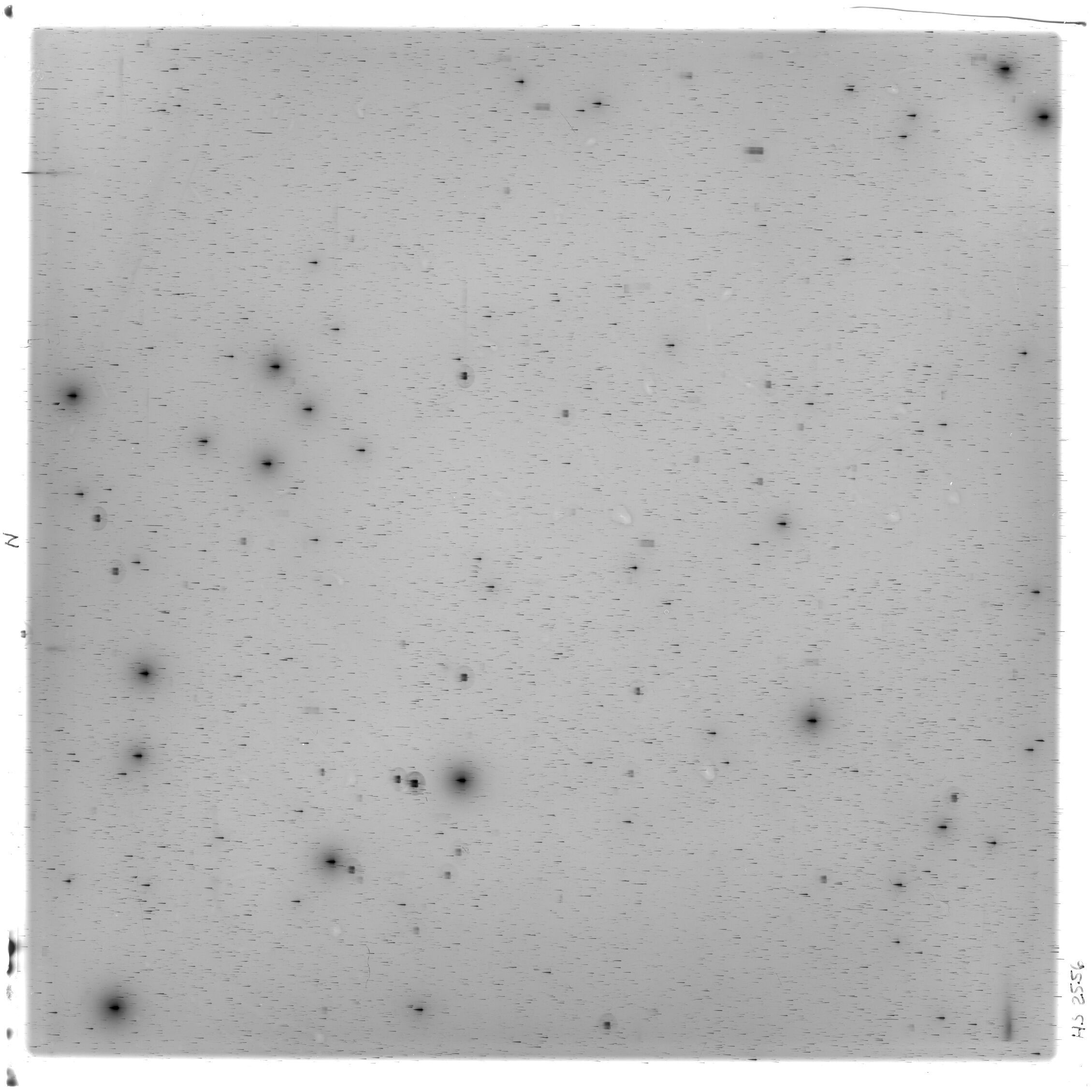 Scan HS02556