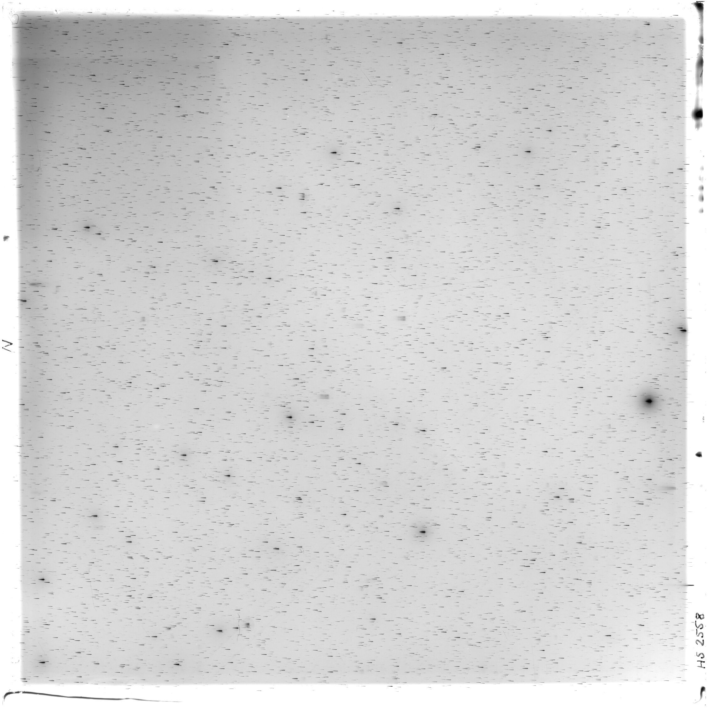 Scan HS02558