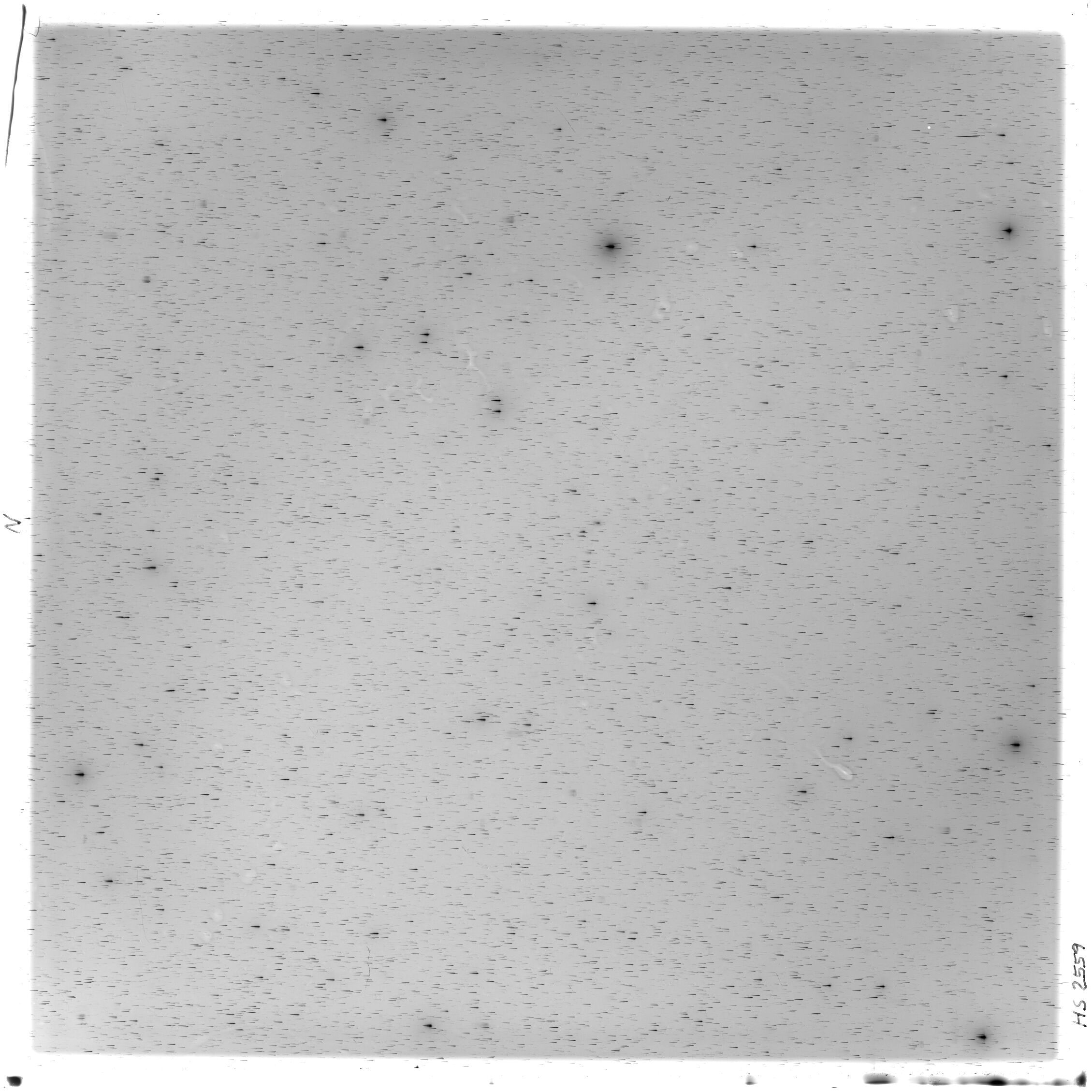Scan HS02559