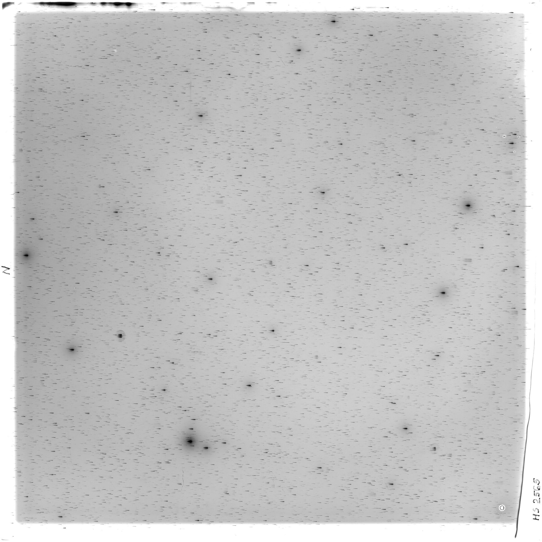 Scan HS02565