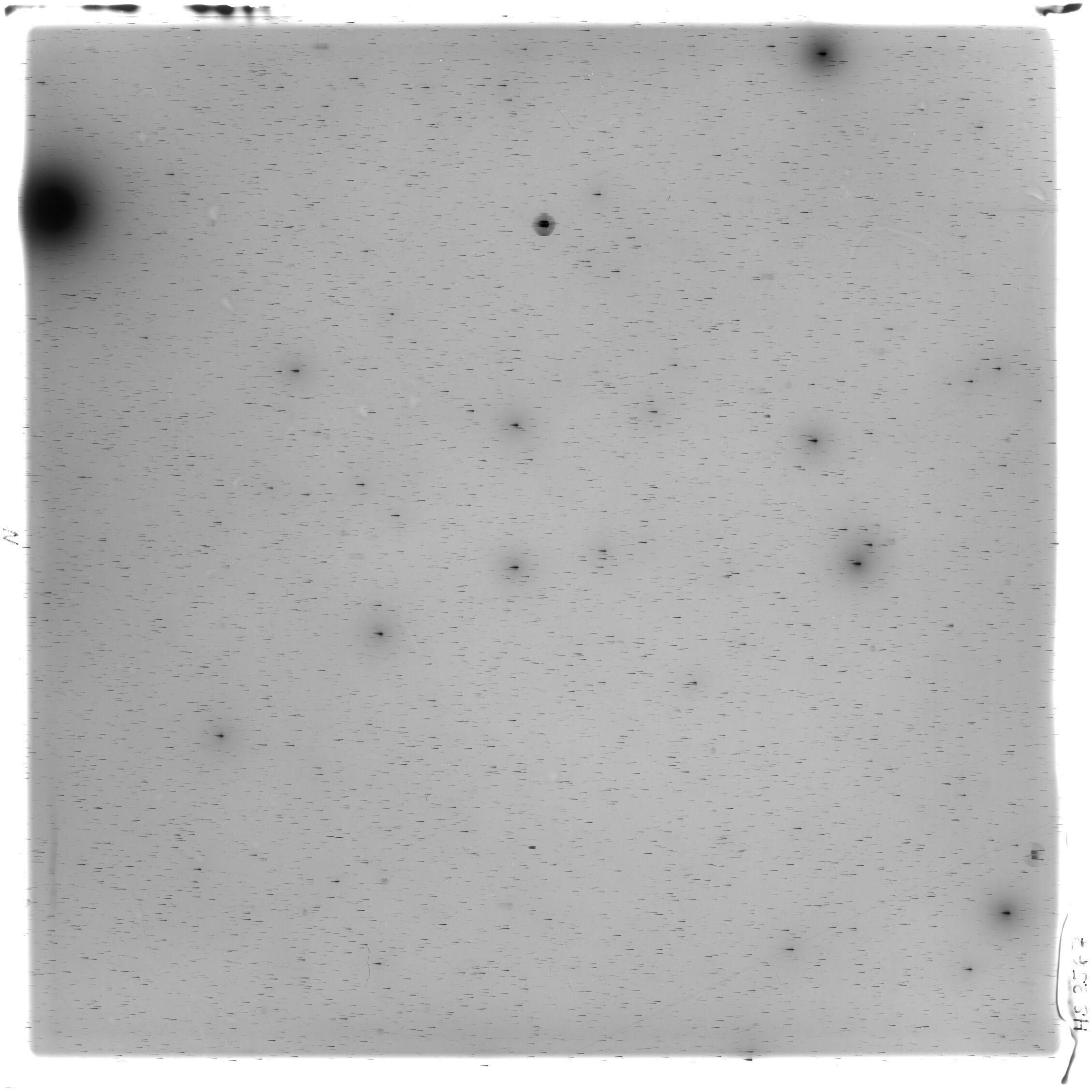 Scan HS02567
