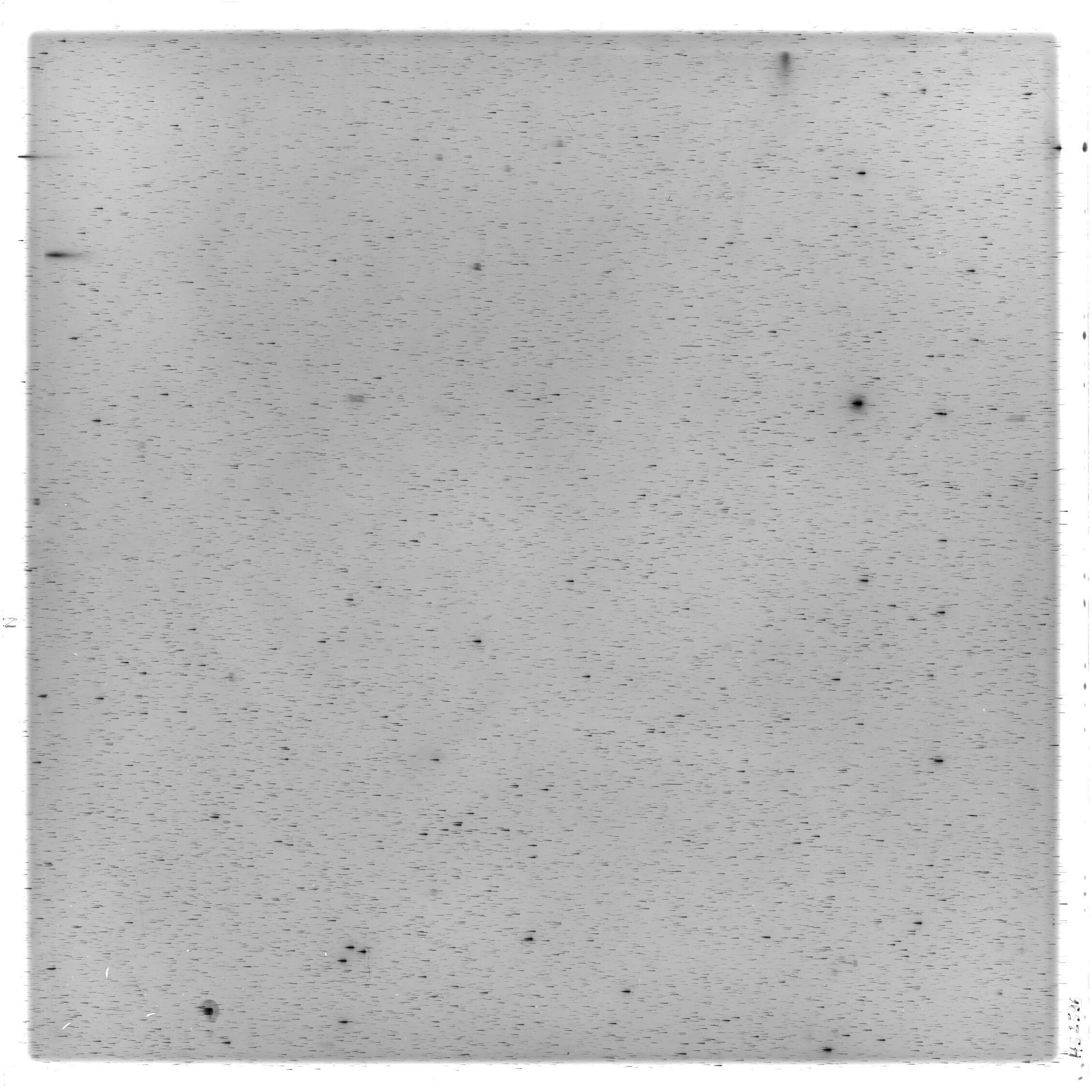 Scan HS02596