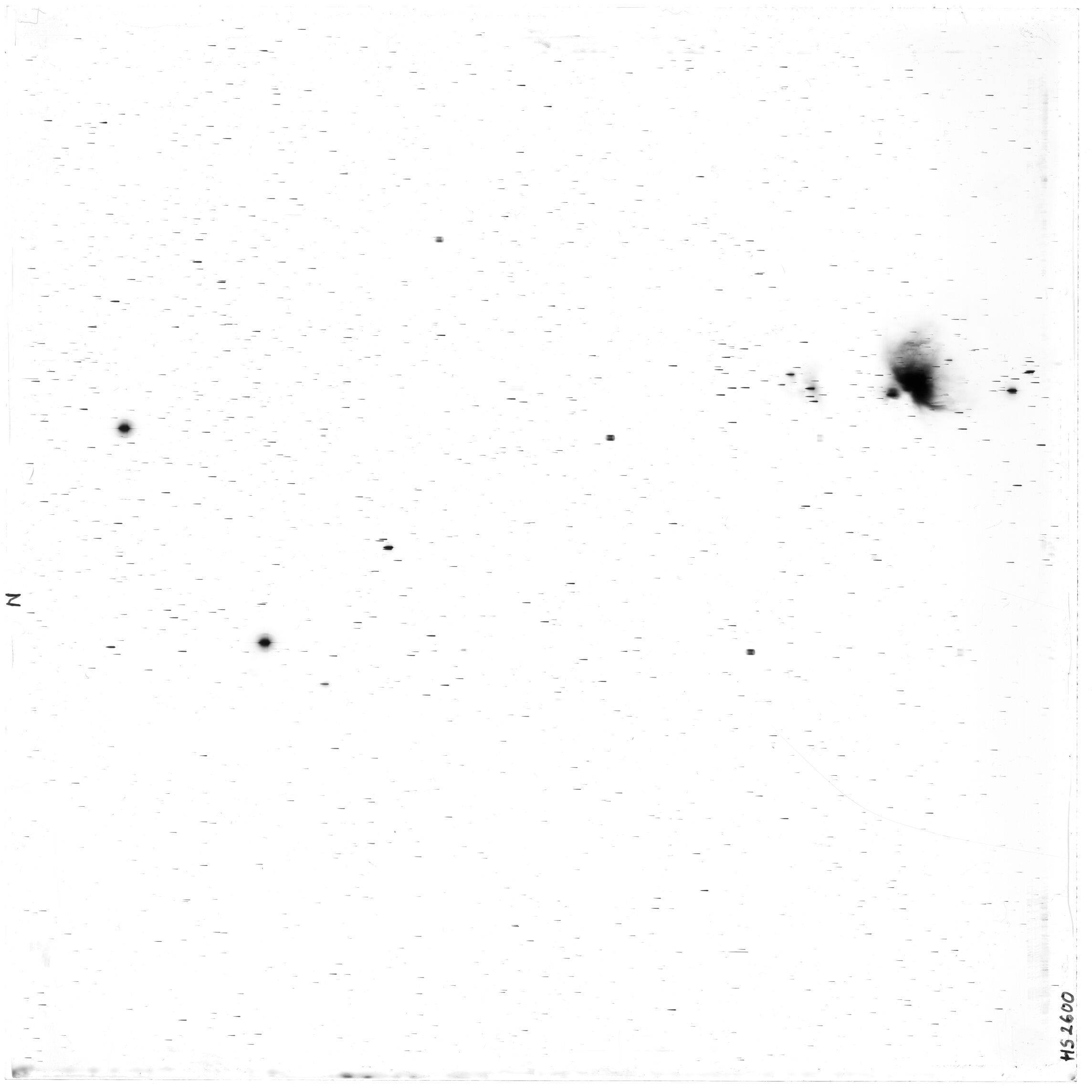 Scan HS02600