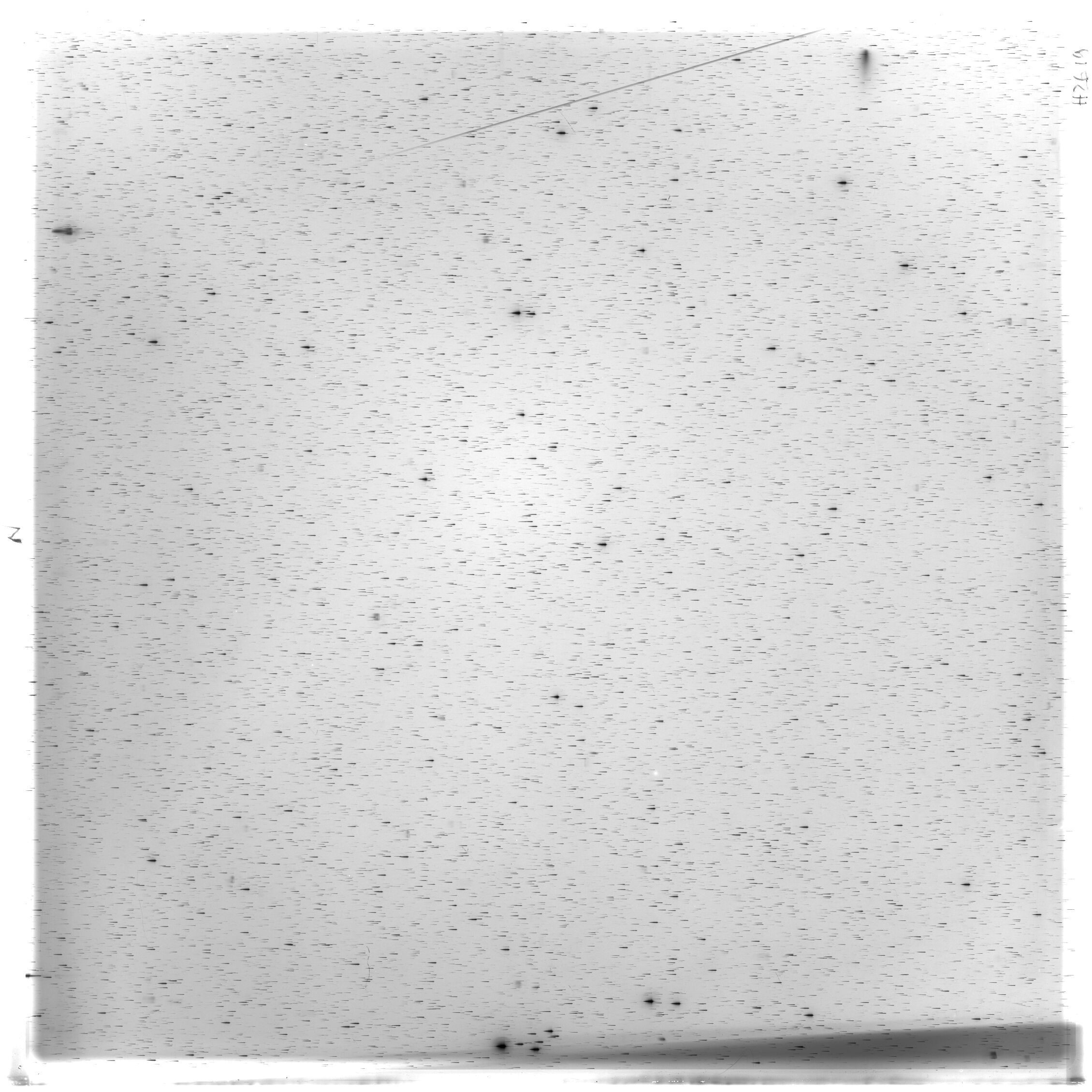 Scan HS02619