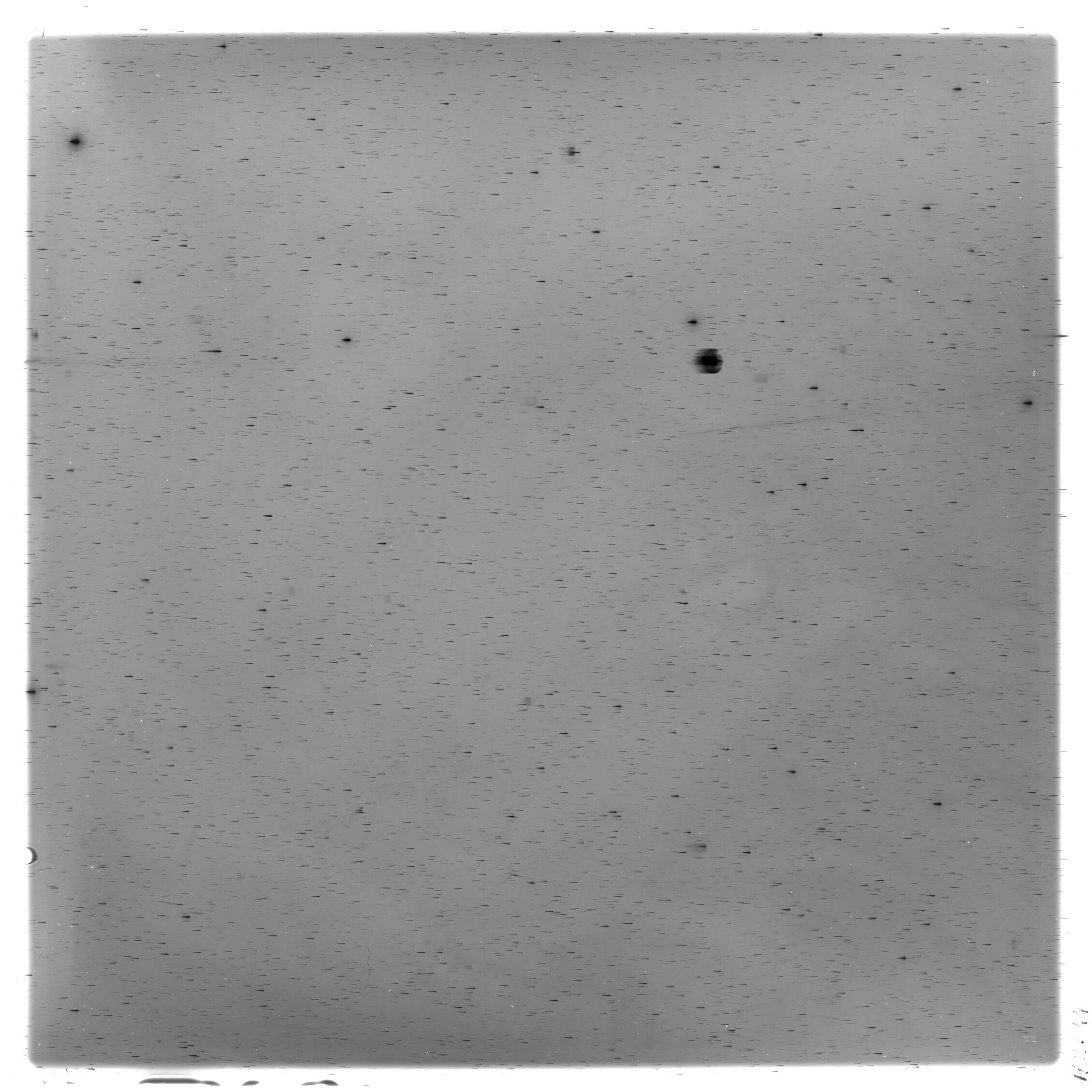 Scan HS02644