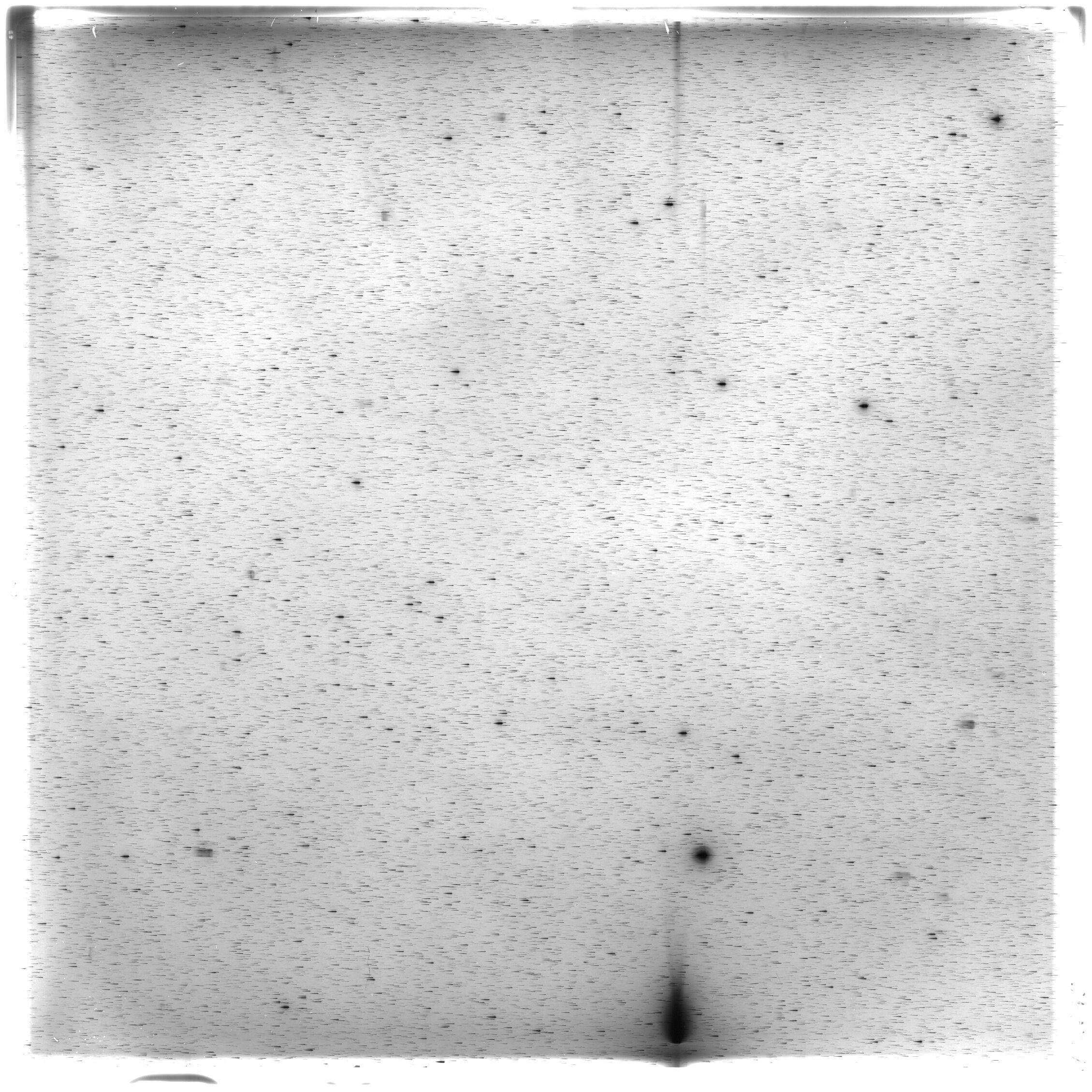Scan HS02645