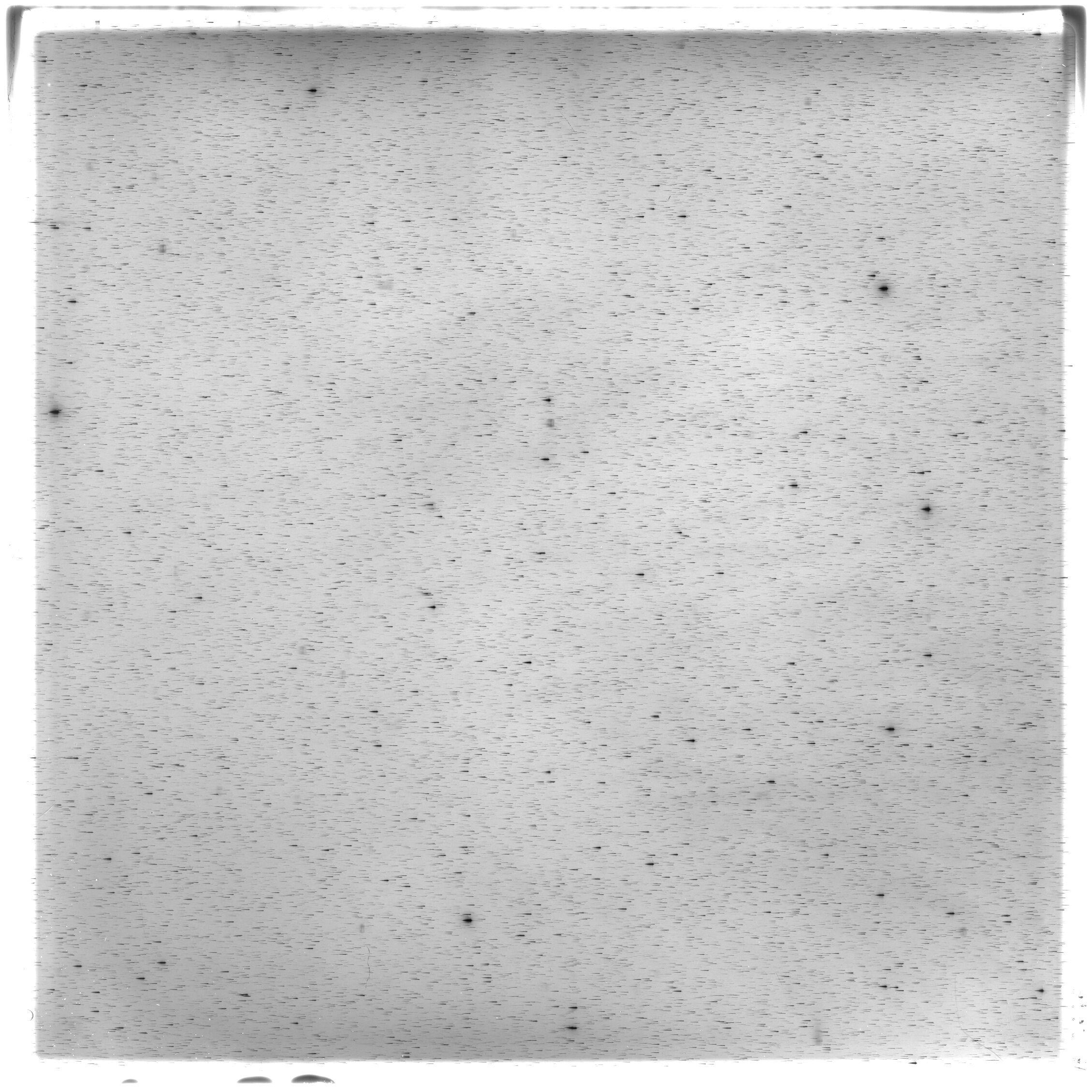 Scan HS02646