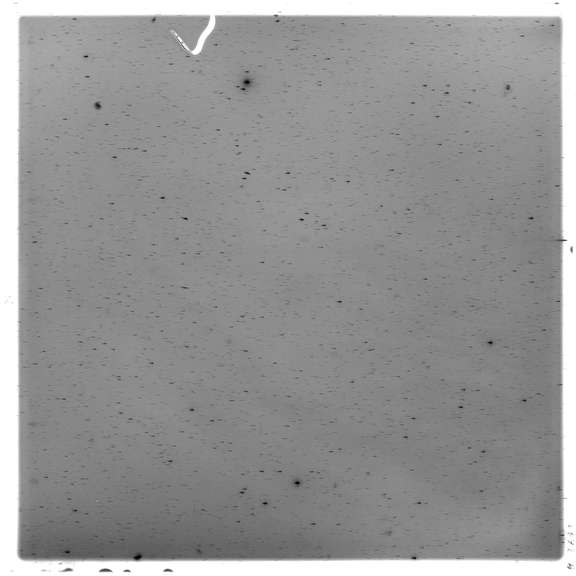 Scan HS02649
