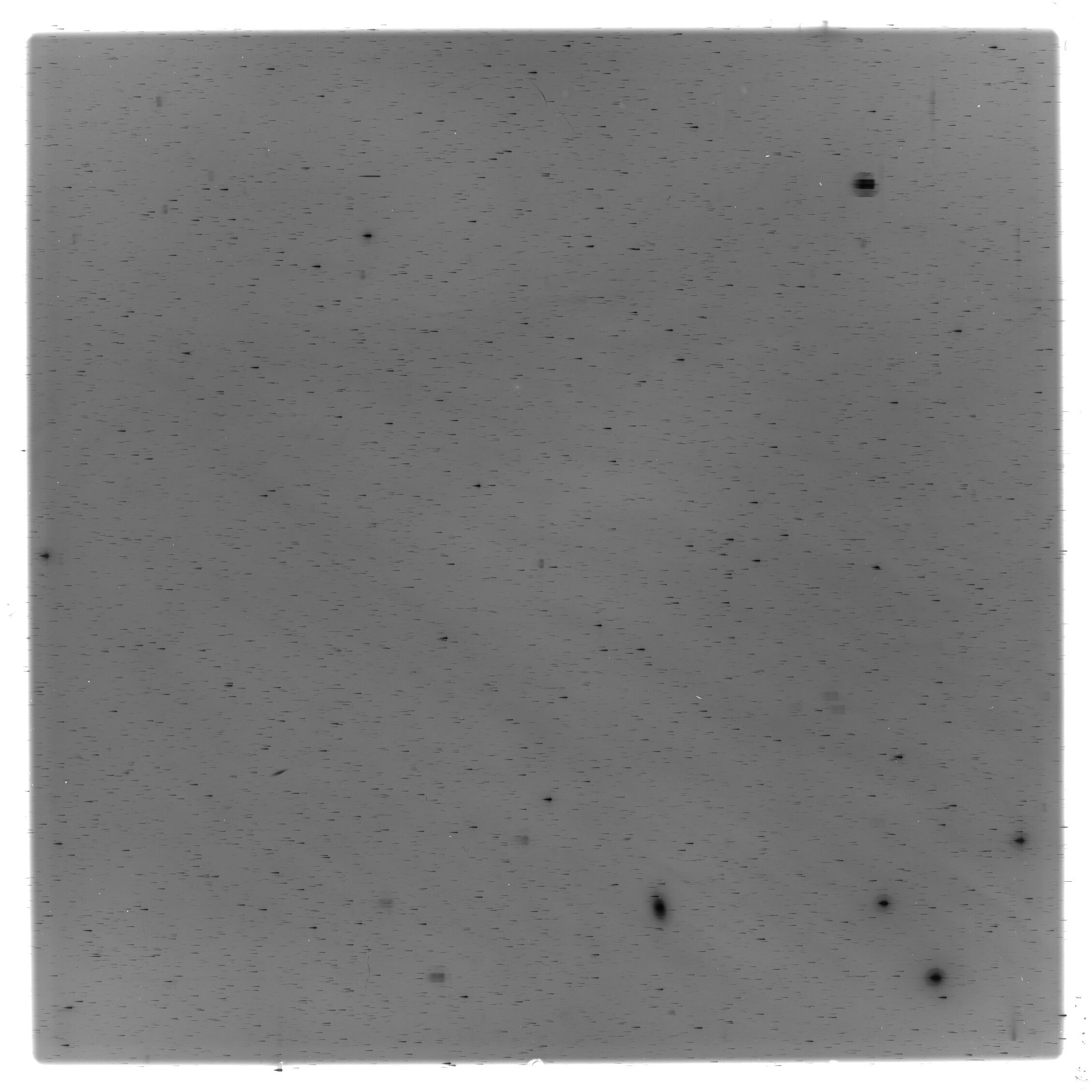 Scan HS02650
