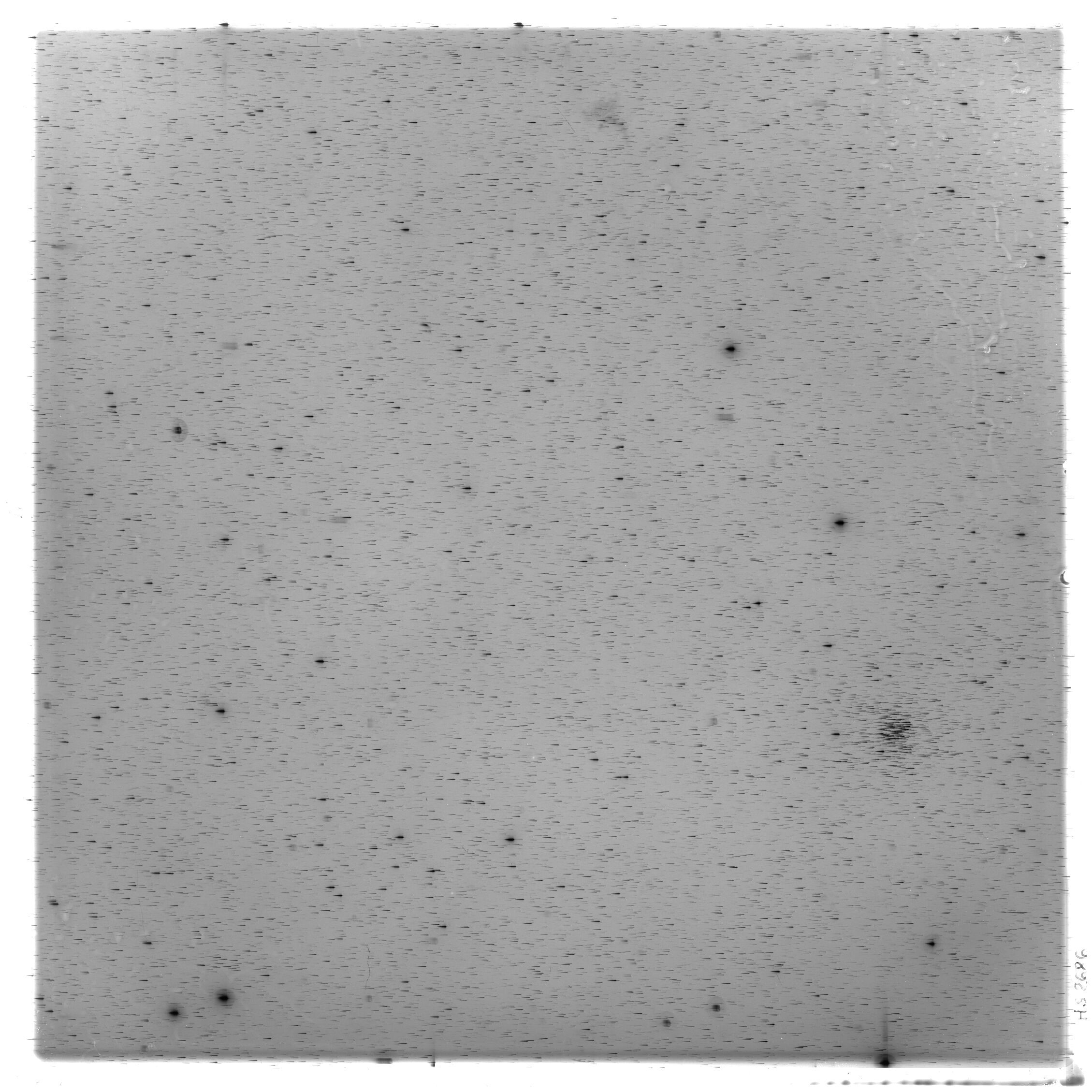 Scan HS02686